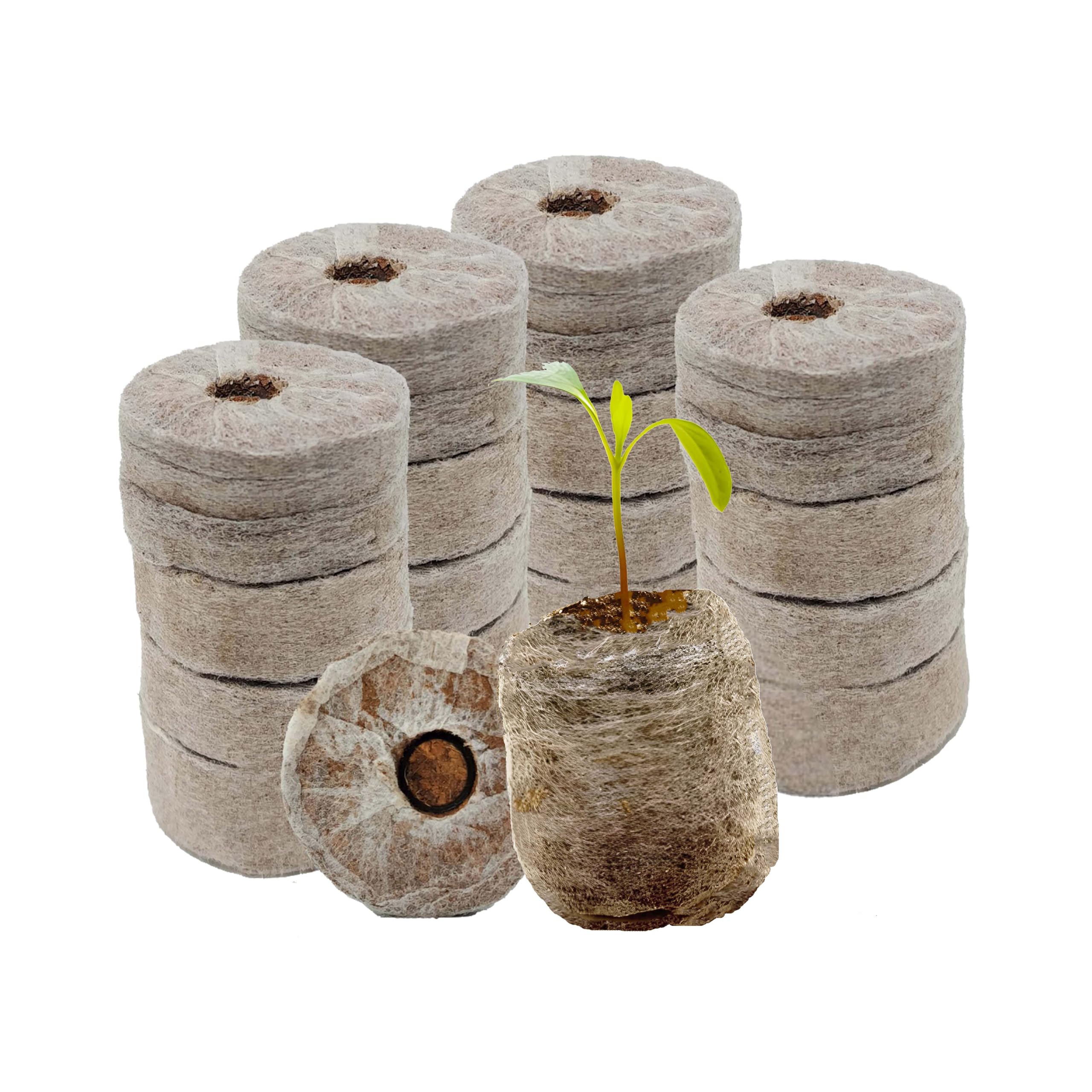Smart Garden Organic Coir Seedling Germination Coir Discs: Biodegradable Coir Coins for Sustainable Plant Propagation, Germination, and Gardening - (50 mm, Pack of 20) (B08NXGZ4KS) Amazon Price History, Amazon Price Tracker