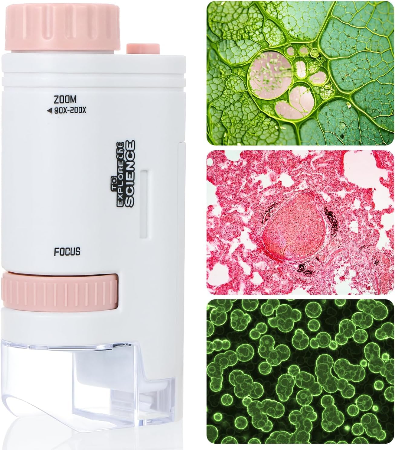 Mini microscopio portátil XOOBIU 200x Zoom Pocket Microscopio de mano con luz LED de alta definición para observación microbiológi