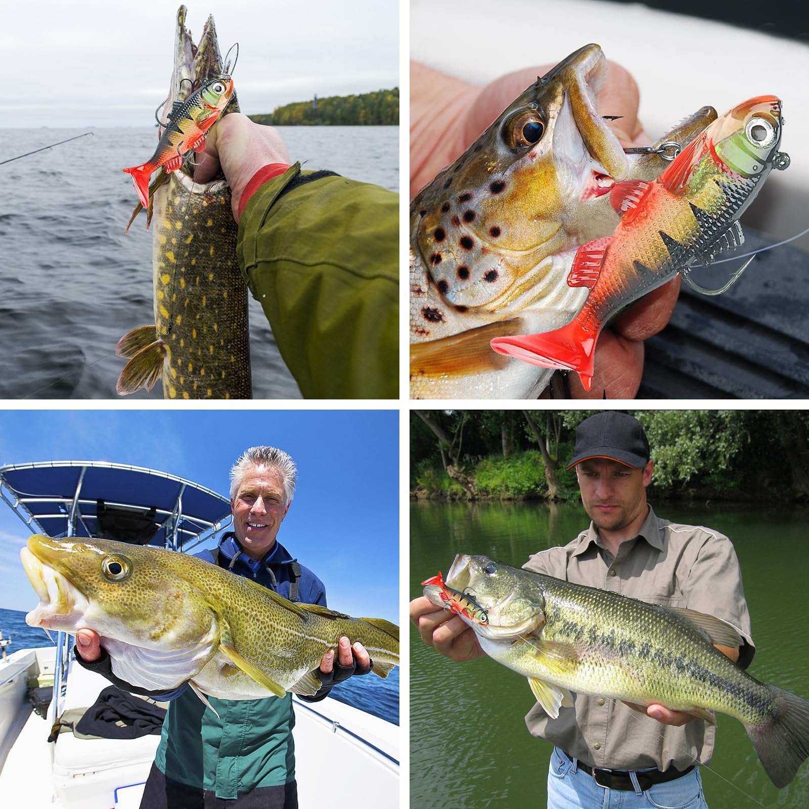 Hecht-Köder Realscale Swimbait – 2er Set, Realis Produktbild-Vorschau 10