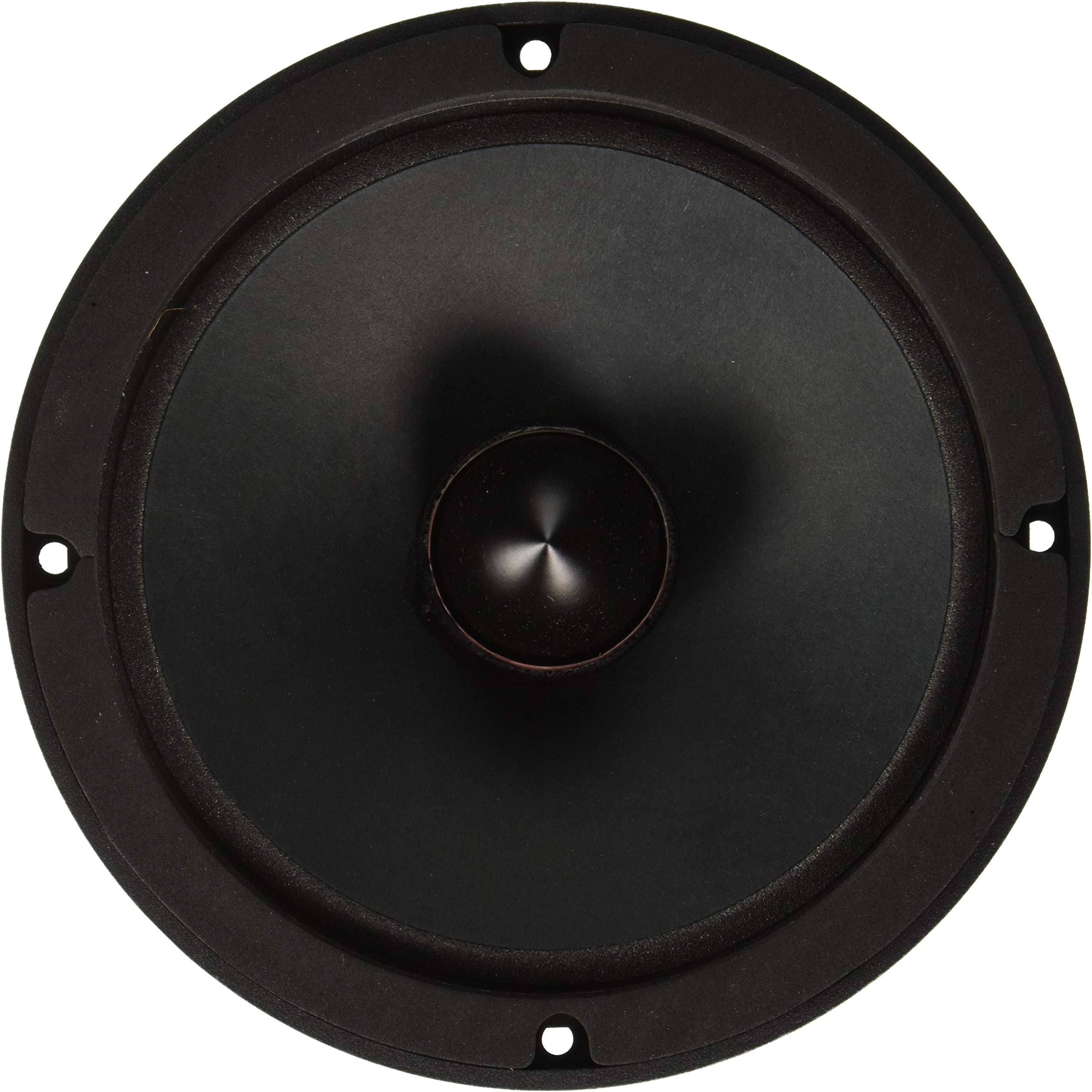 Faital Pro 10PR310 10-Inch 8ohm 600 Watts 98dB 2.5VC Mid-Bass Guitar Speaker, Single