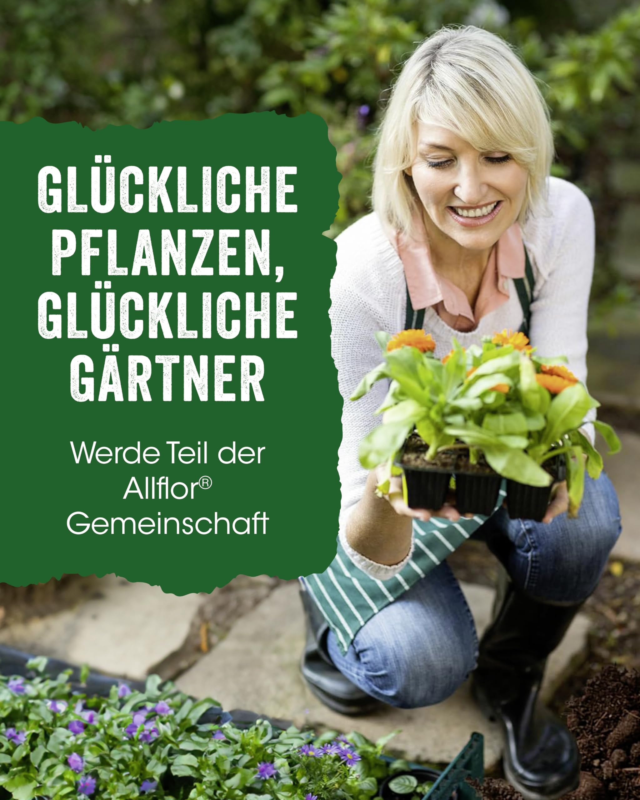 Allflor Rosen-Dünger 2 x 2,5 Kg in der Faltschachtel I Rosendünger mit organisch-mineralischer Nährstoffkombination und spezieller Rosen-Formel I NPK-Dünger 5+7+4 plus Magnesium