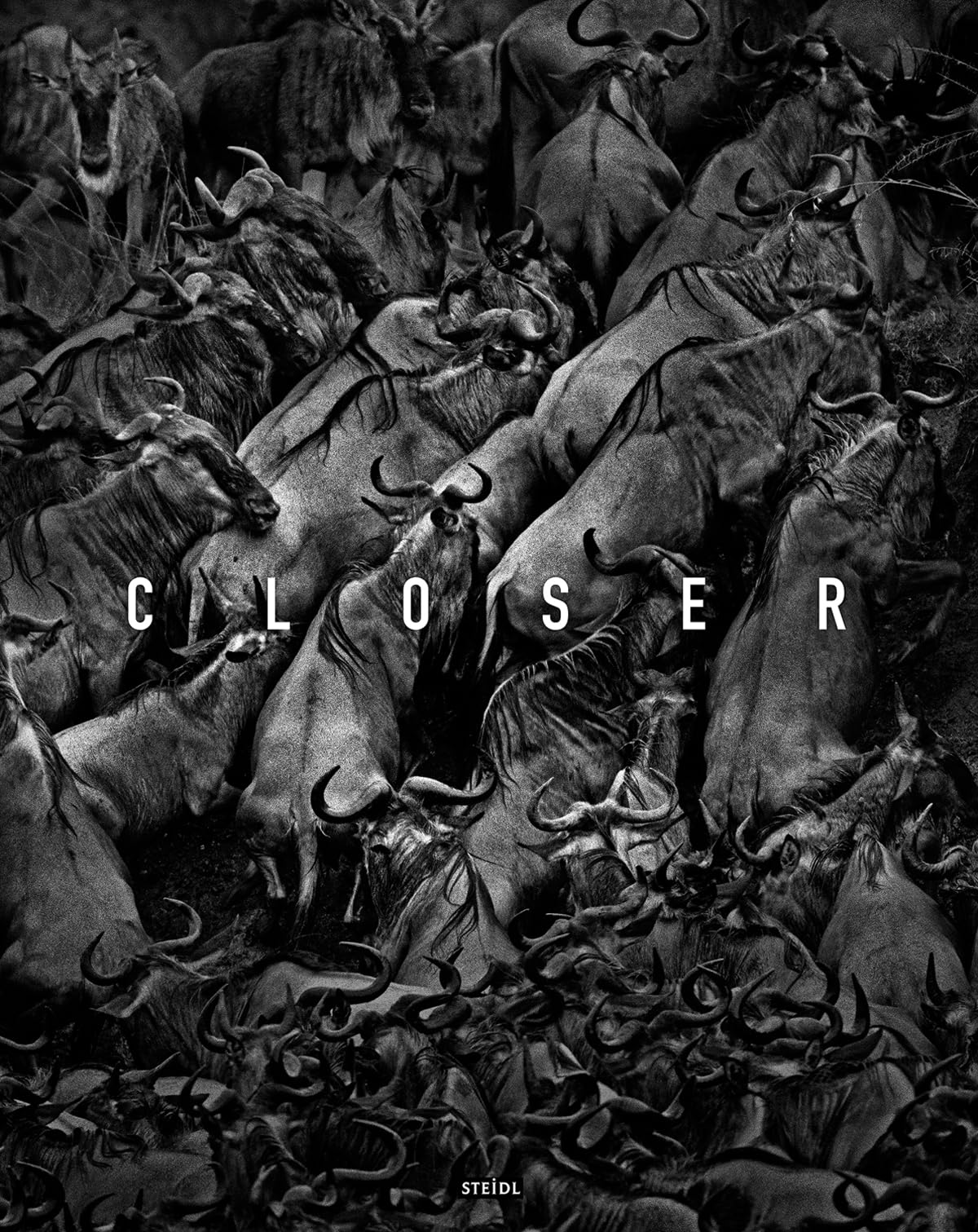 Closer: Tomasz Gudzowaty : Gudzowaty, Tomasz: Amazon.de: Bücher