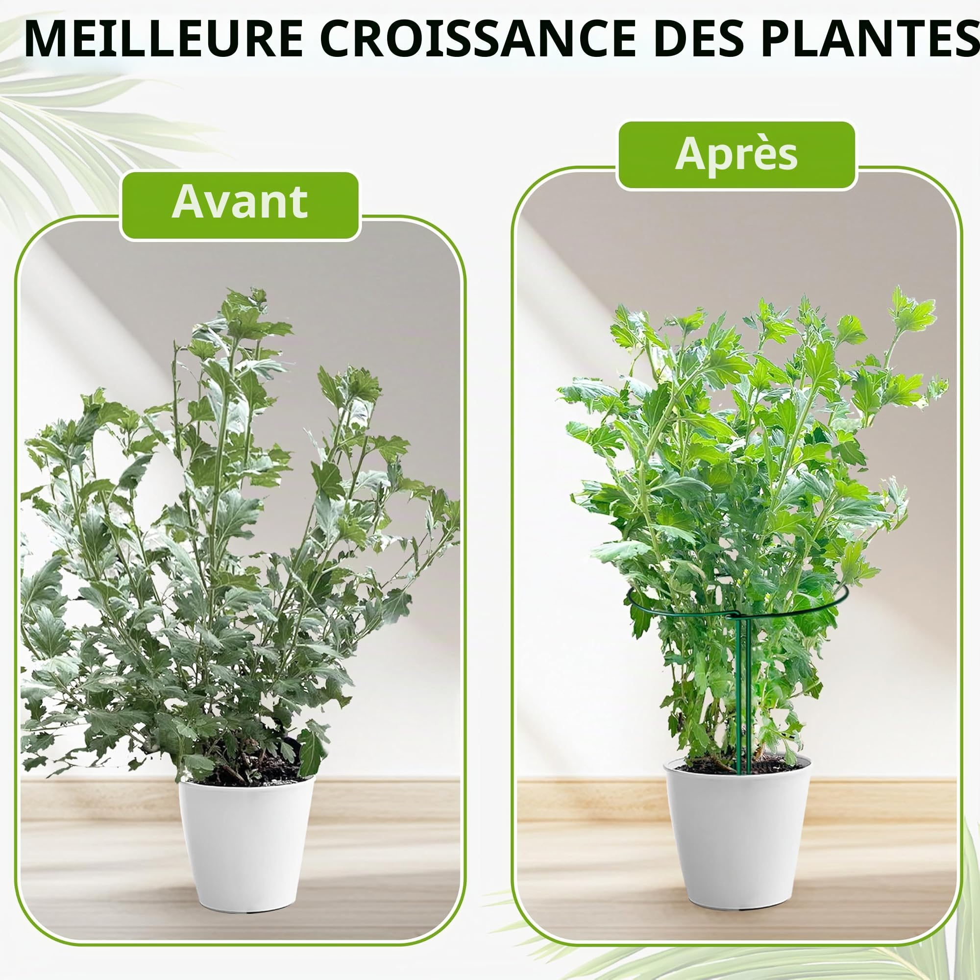 Lot de 10 Tuteurs pour Plantes 25x60cm - Tuteur Plante Polyvalent, Support Solide pour Tuteur Pivoine, Tuteur Rosier et Tuteur Tomate, Intérieur et Extérieur