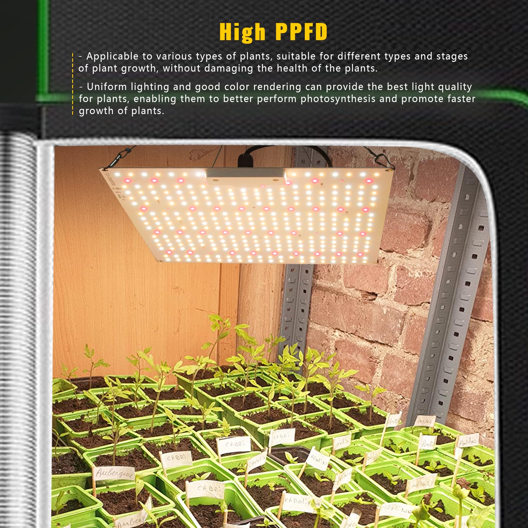 VAYALT 2024 Lampada per Piante, 1000W LED Lampada per Piante con UV e IR, Lampade per Coltivazione Indoor Spettro Completo LED Coltiva Luce Piante Indoor Verdure e Fiori (3000K 5000K 660nm 730nm)
