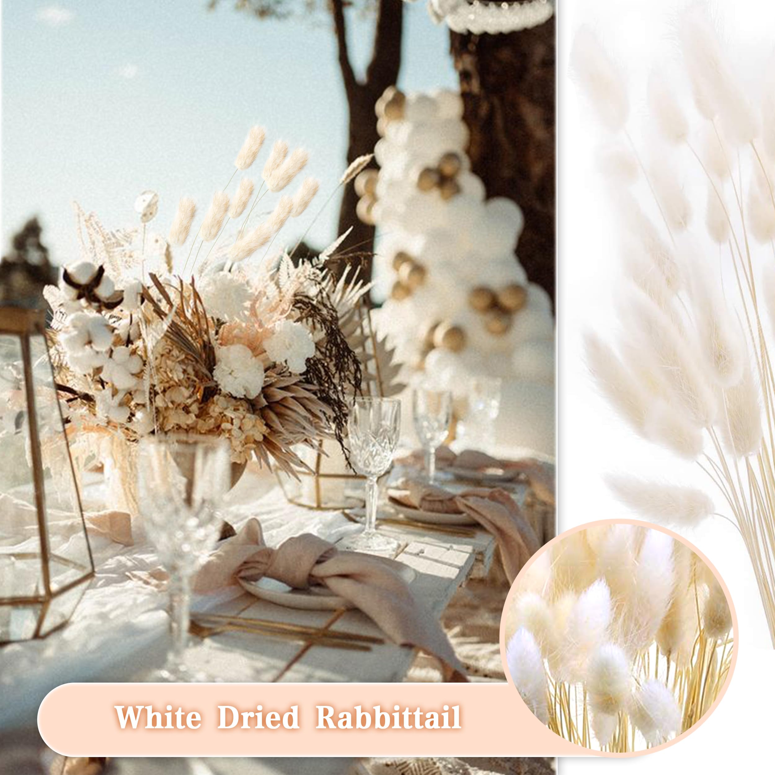 ZJTAPE Piume Erba Della Pampas - 45 pezzi Erba di Pampa Essiccata Naturale, fronde soffici di erba di Pampa marrone, Bouquet di Fiori Secchi per tavolo da matrimonio, decorazioni per la casa Boho