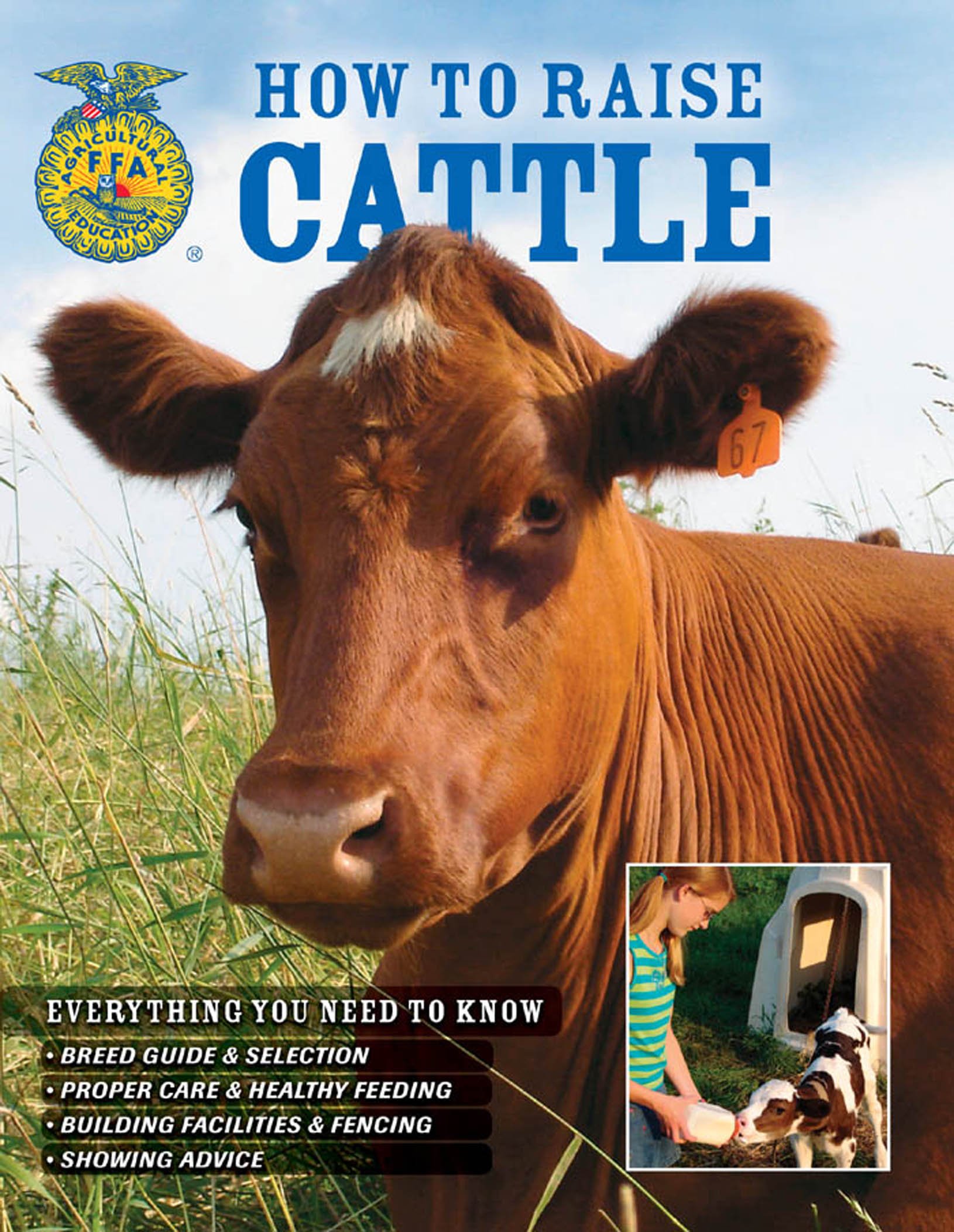 How to Raise Cattle (Everything You Need to Know) (Everything You Need to Know) (Everything You Need to Know)