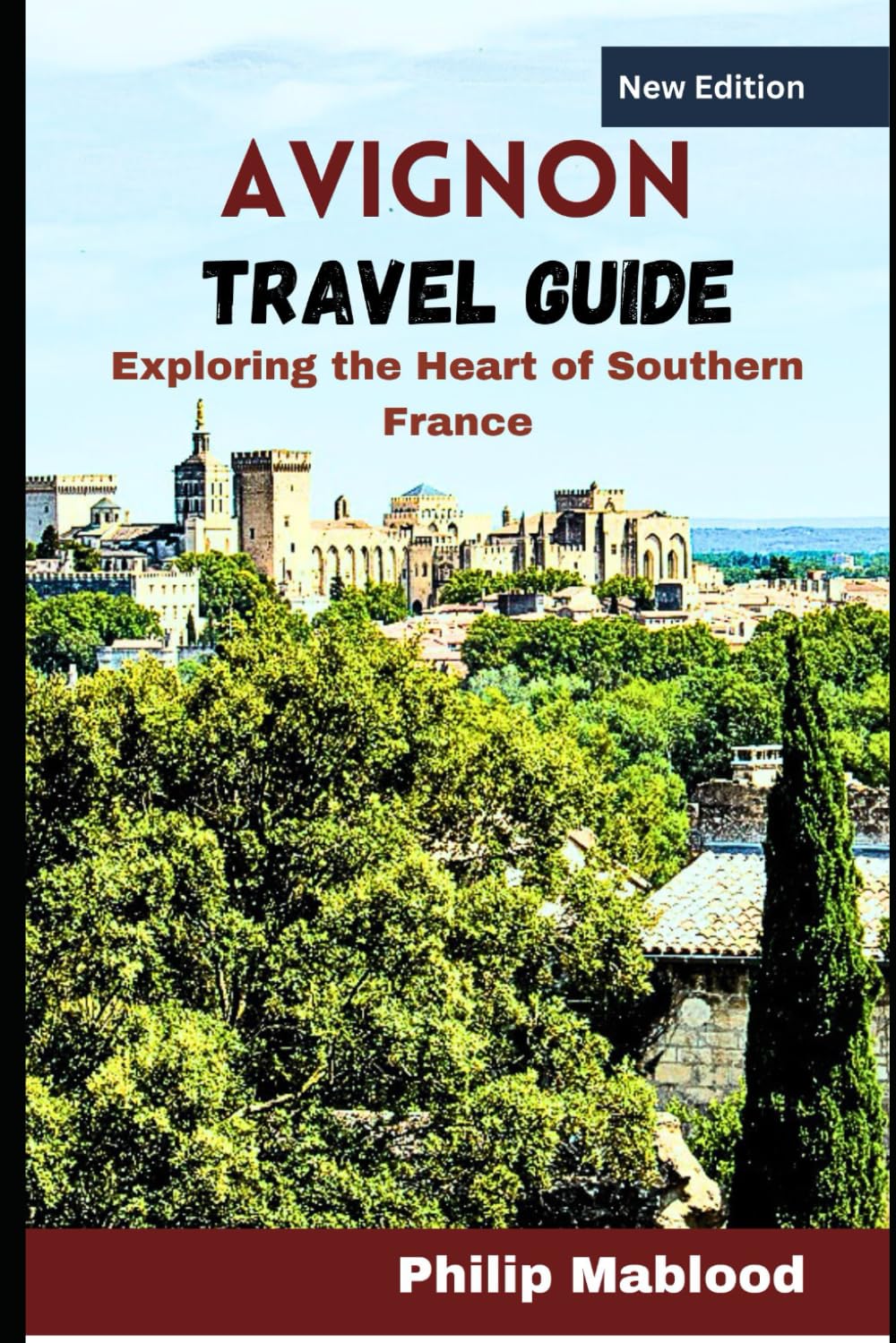 AVIGNON travel guide: Exploring the heart of southern France (Pathfinder Series)