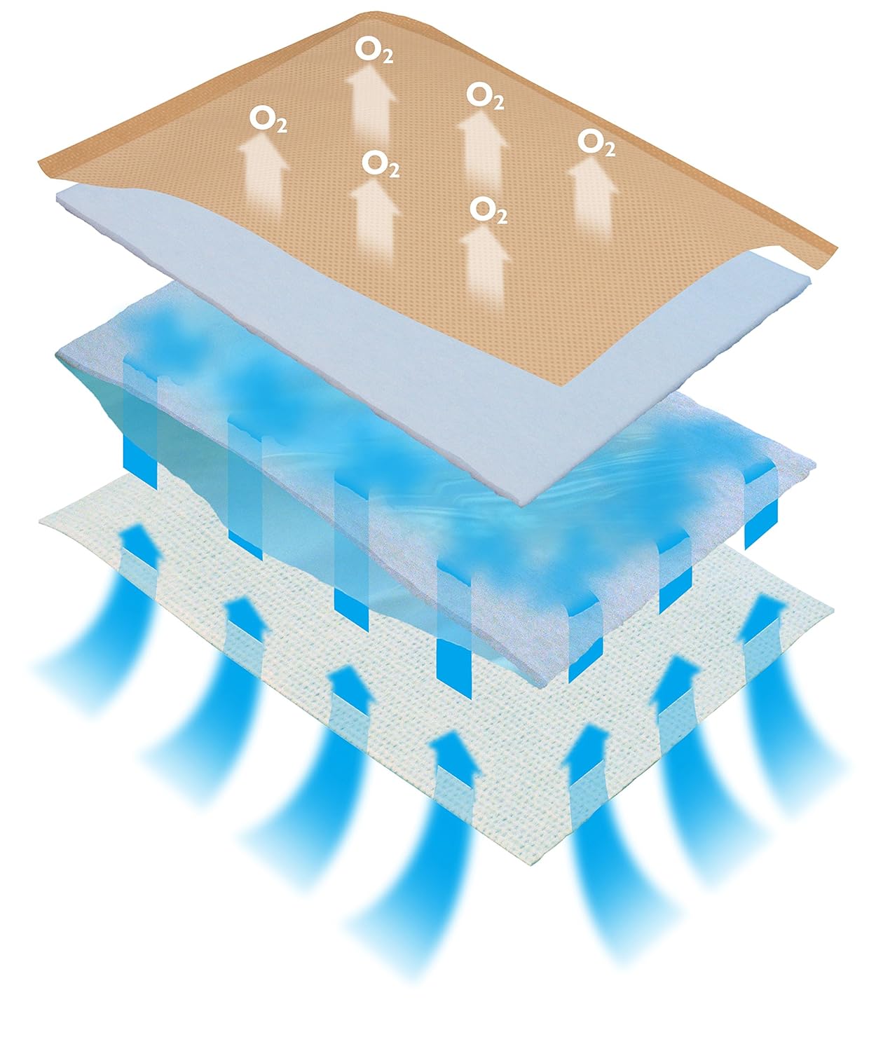 Dukal Eclypse Super Absorbent Dressing, 4" W x 4" L (Pack of 20)