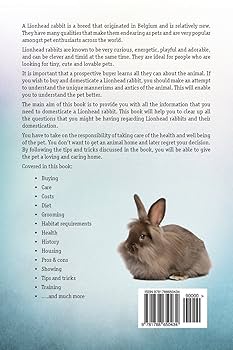 Lionhead Rabbit. Lionhead rabbits as pets. Lionhead rabbit