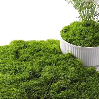 5.3 OZ Potted Plant with Fake Green Moss, Artificial Fake Moss Decorative Crafts, DIY Decorative Dining Table Center Decoration Fairy Tale Garden Flower Wedding Preservation Moss (150g)