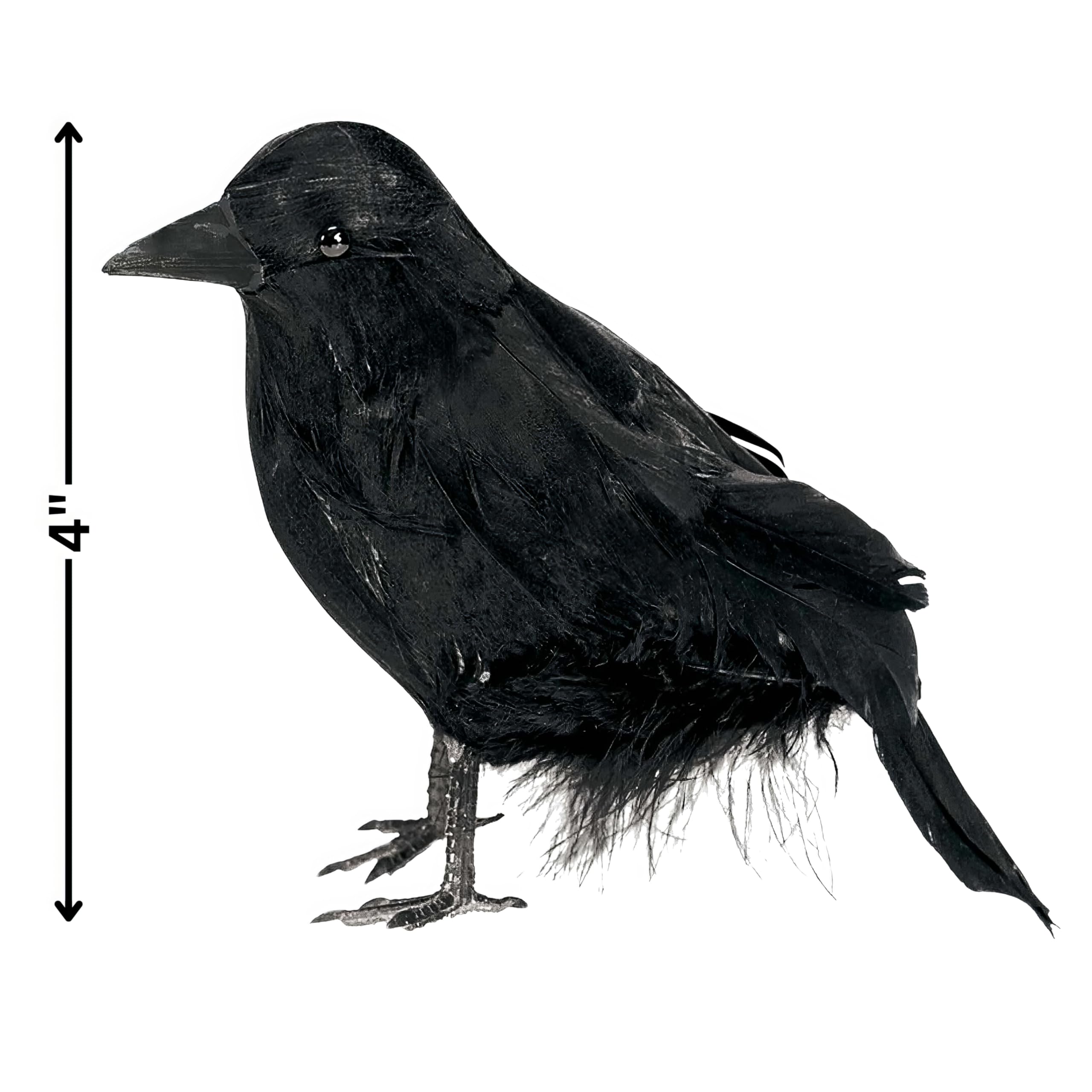 Amazon.com: Small Black Feathered Raven - 4