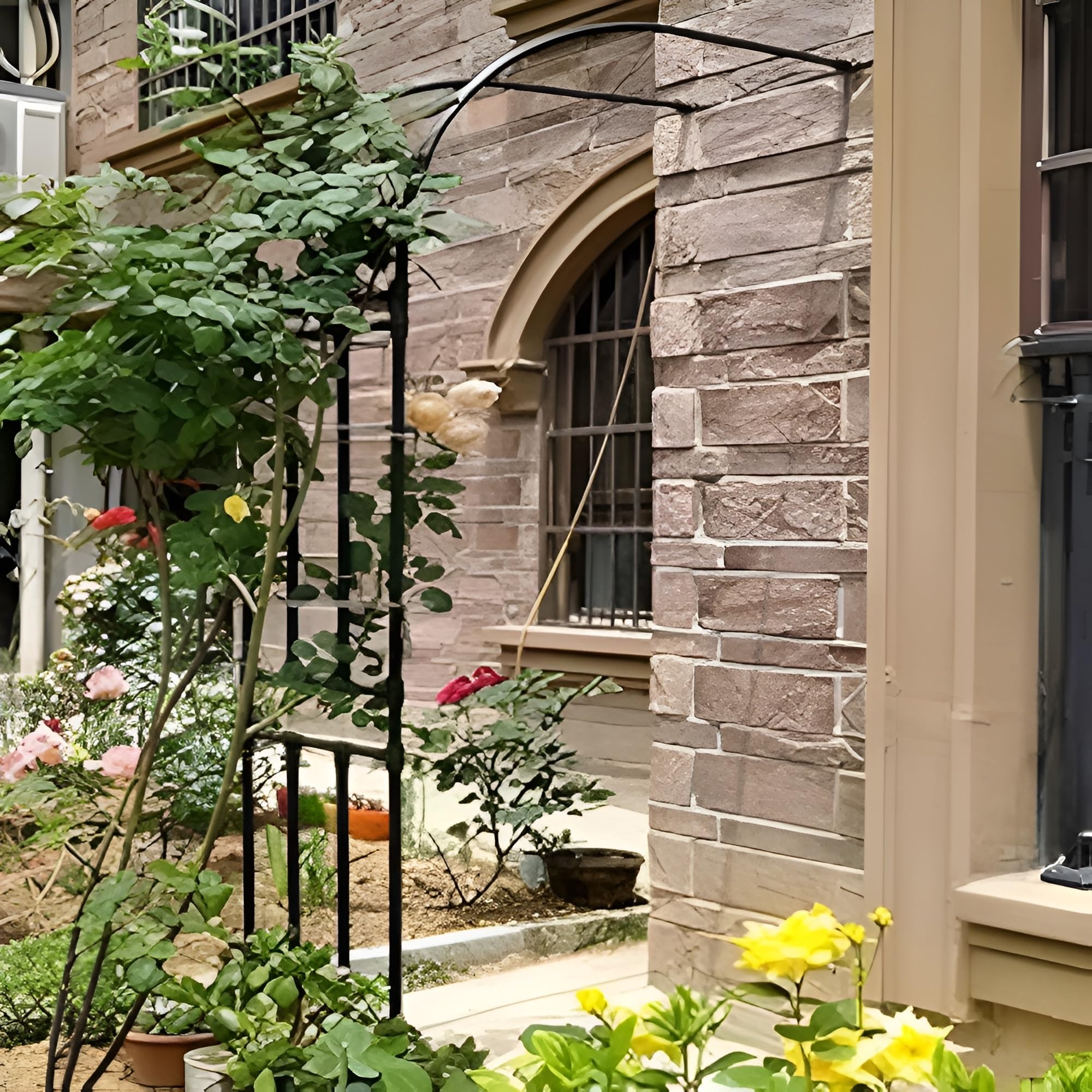 Arche de jardin en métal pour vignes concombres et plantes grimpantes