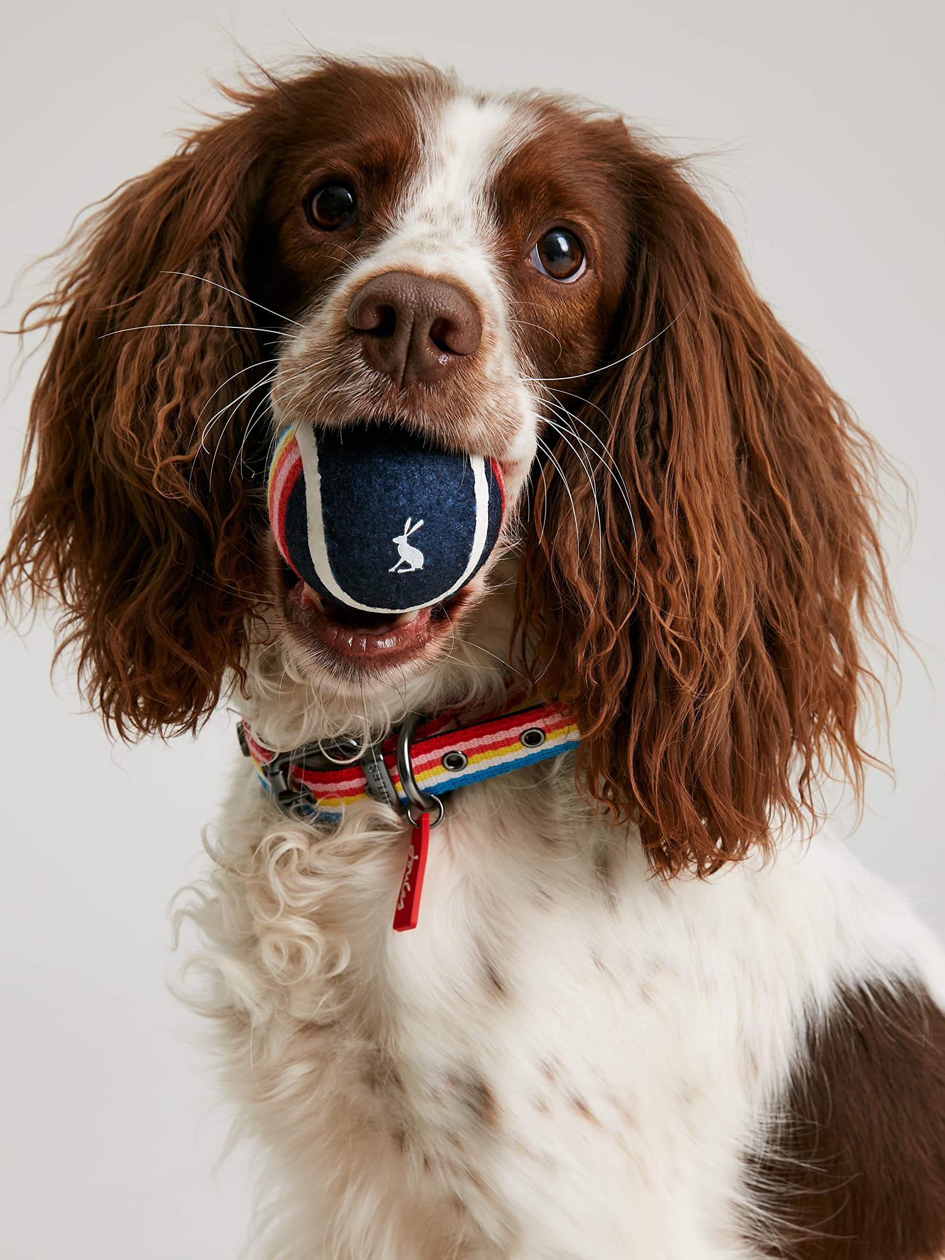 Rosewood Joules 3-pack rubberen ballen, met draagtas, hondenspeelgoed