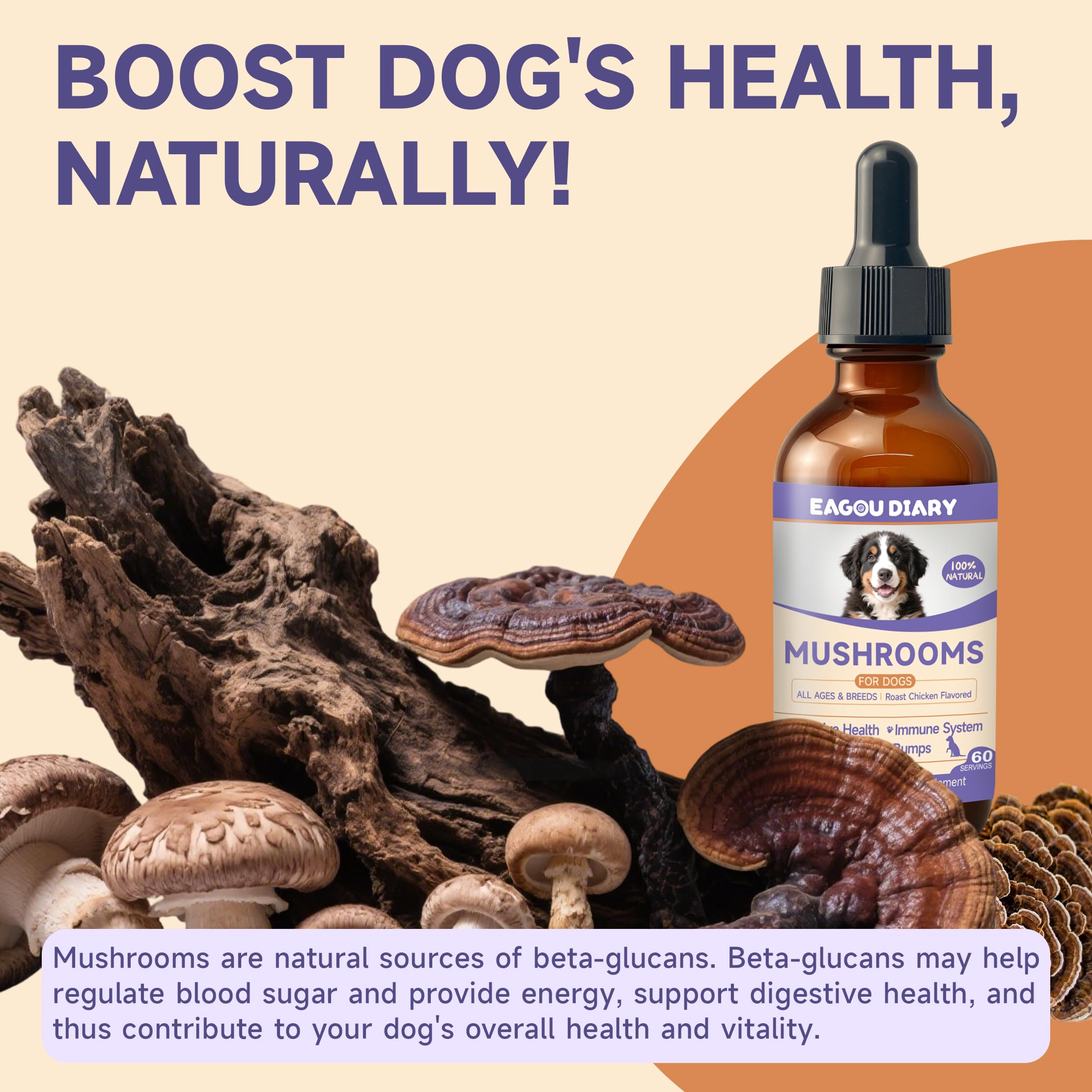 Integratore liquido a base di funghi per cani - Supporta la Salute delle Articolazioni, Aumenta l'Energia, Rafforza l'Immunità, Miscela di Funghi Liquida, 60 ml