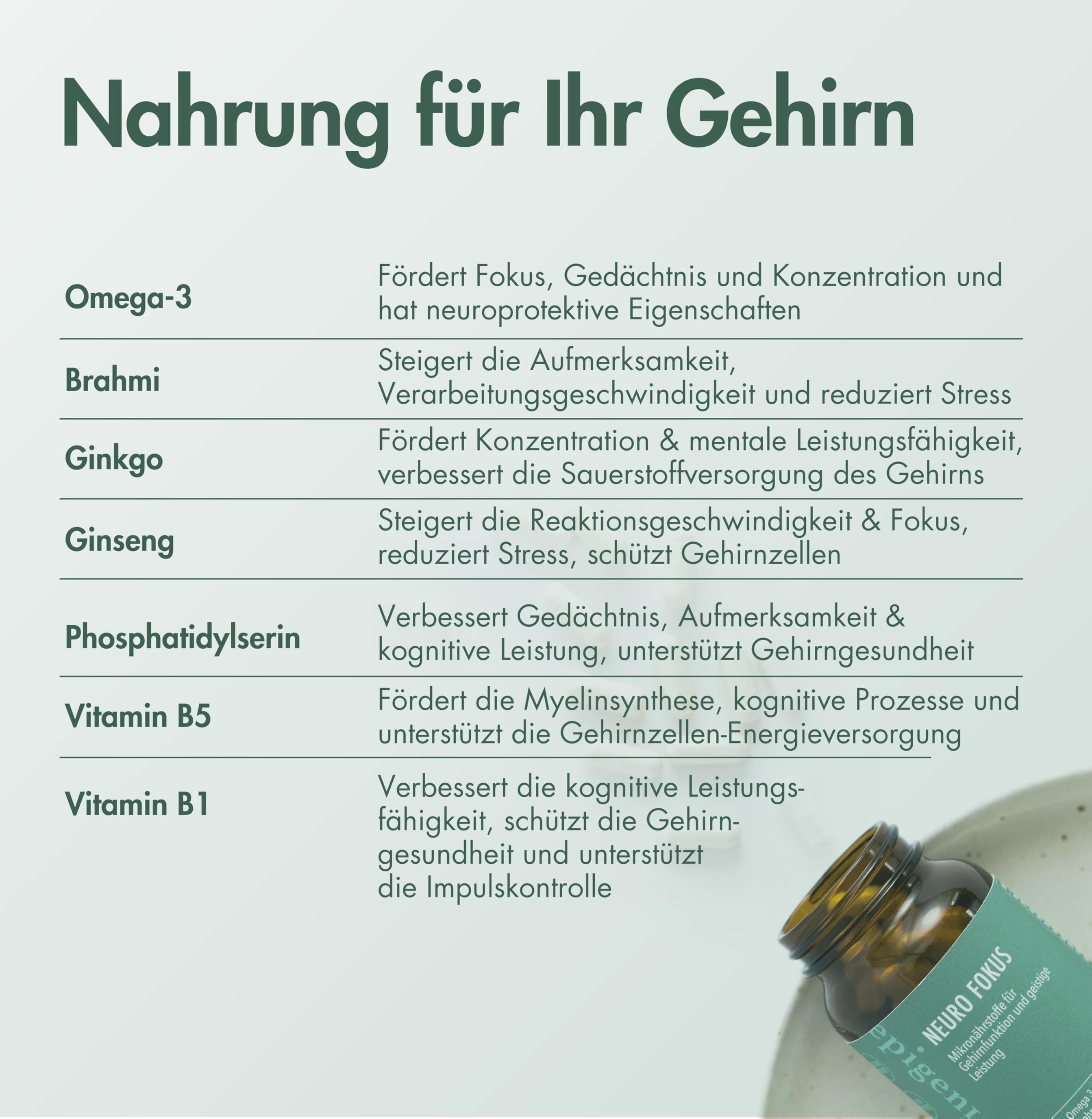 Epigenics Neuro Fokus Kapseln mit Ginkgo, Brahmi, Phosphatidylserin, Ginseng & Omega-3 (DHA/EPA) plus Vitamin B1 & B5 – Nahrungsergänzung für Konzentration & mentale Leistung – vegan (30 Tage)