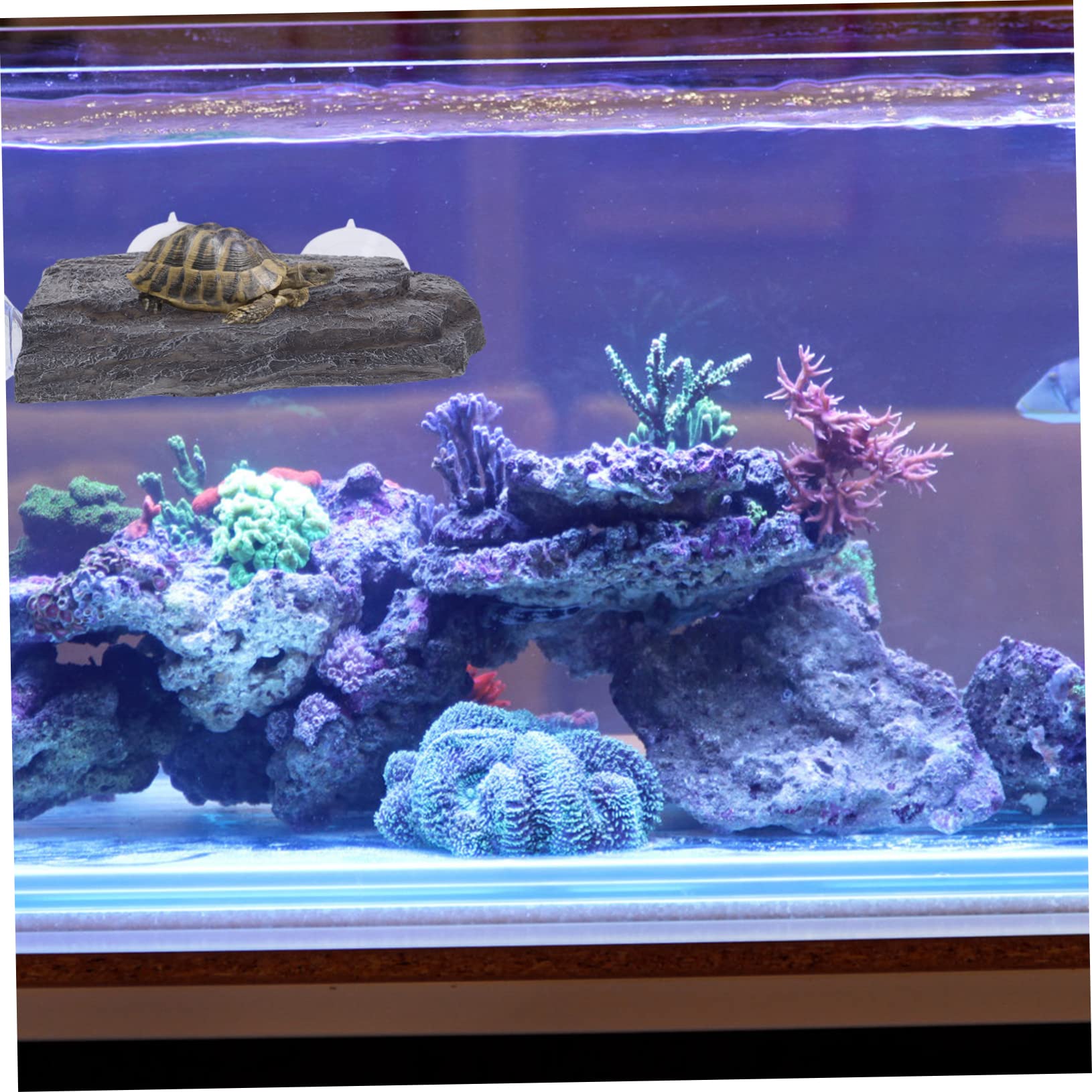Plataforma De Basking para Tortugas con Ventosas Fuerte y Diseño para Acuarios y Terrarios Multi-Funcional y Decorativa