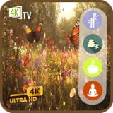 4K バタフライパラダイス - 春の草原のテレビスクリーンセーバー