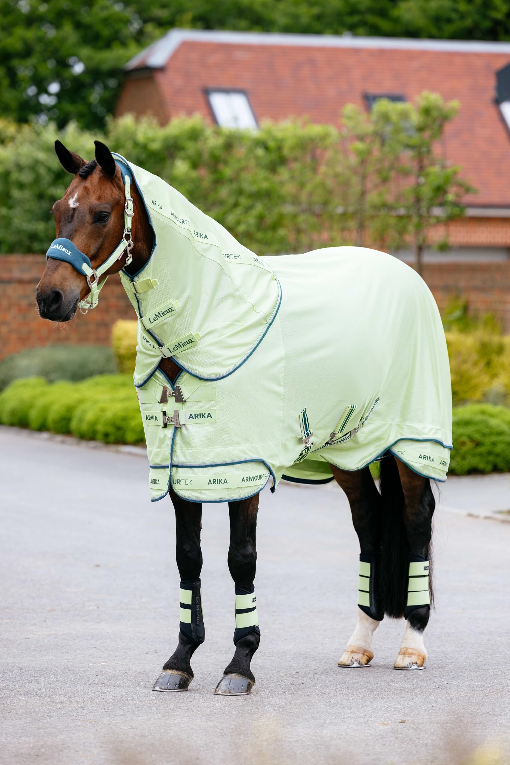 LeMieux Arika Armour-Tek Fly Rug - Equestrian Horse Turnout Fly Rug - Detachable Neck - Macaron - 3ft9
