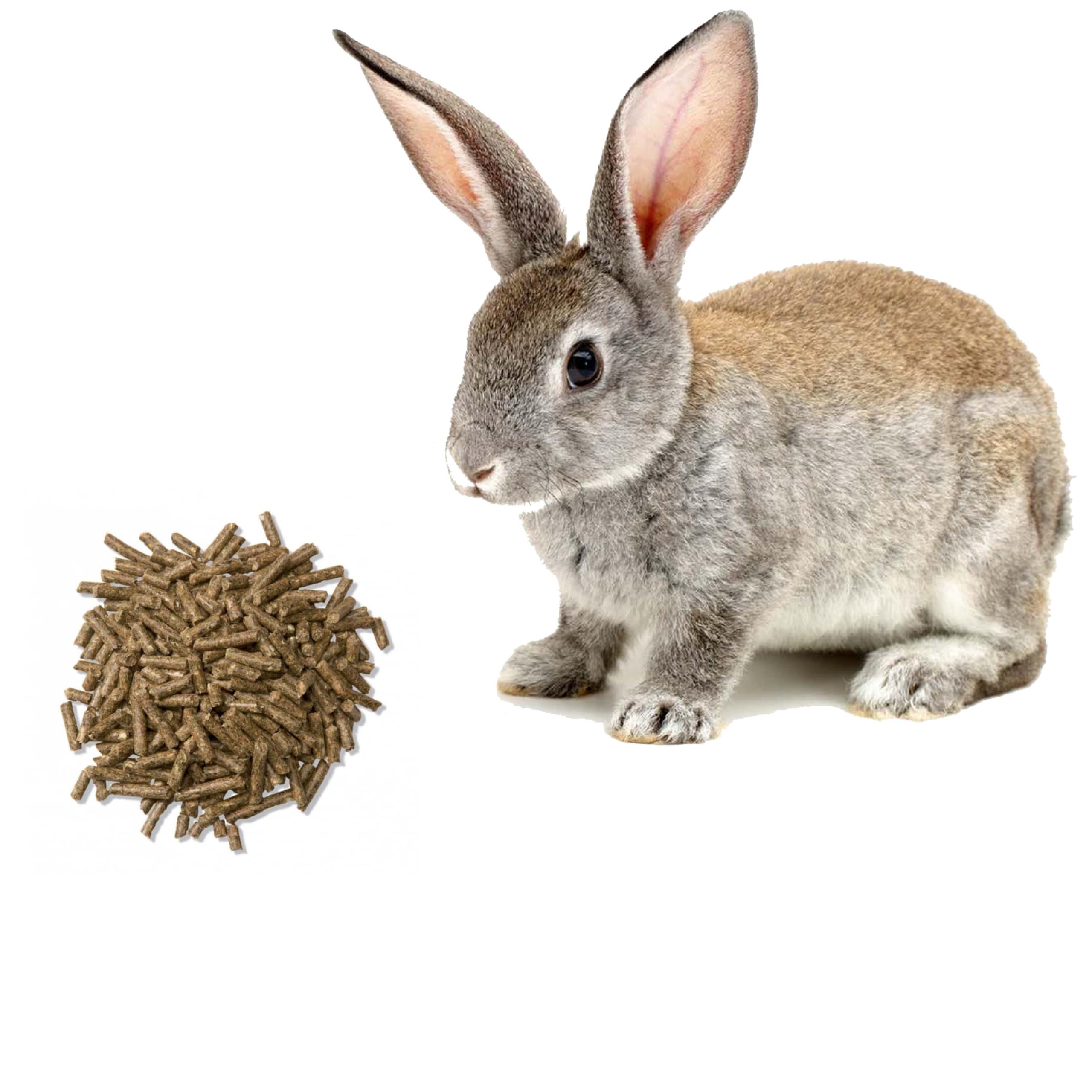 BIO BLOOMS AGRO INDIA PRIVATE LIMITED Gold Pellet Rabbit Foods | 5 Kg (B09W9BZJQT) Amazon Price History, Amazon Price Tracker