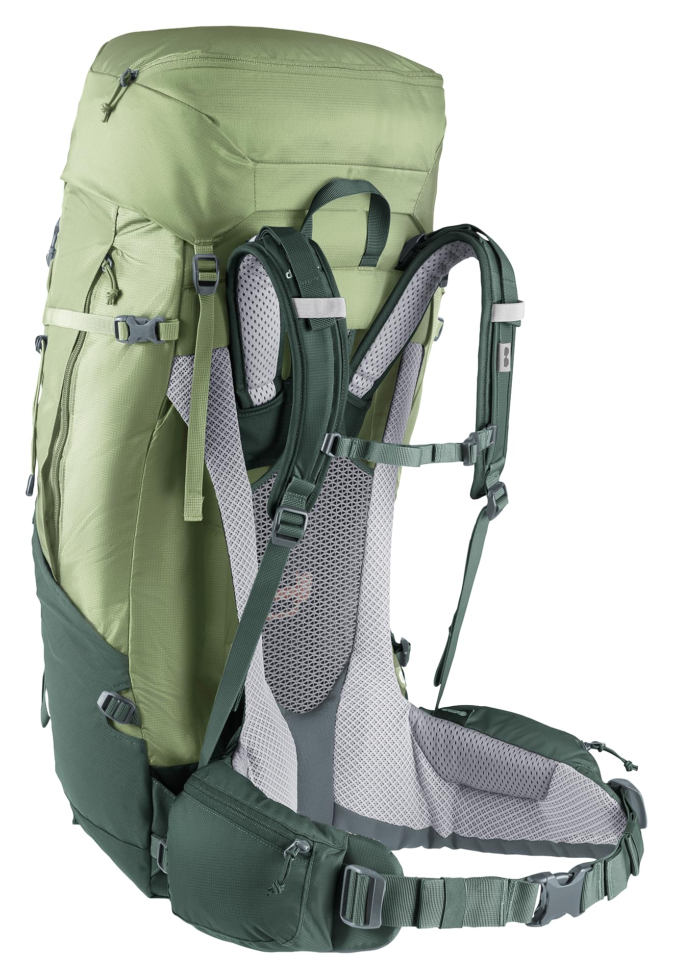 deuter Futura Air Trek 55 + 10 SL damski plecak trekkingowy, Grove-ivy, 55+10 L, Minimalistyczny