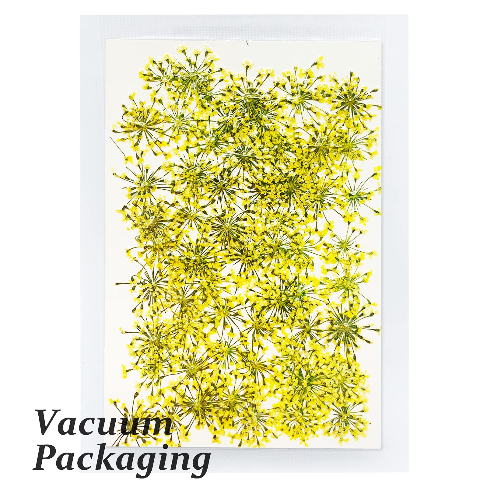 Getrocknete gepresste Blumen für Harz, echte gepresste Blumen, Trockenblume, Schleierkraut, für Scrapbooking, Bastelarbeiten, Epoxidharz, Schmuckformen, Kerzen, Seifenherstellung