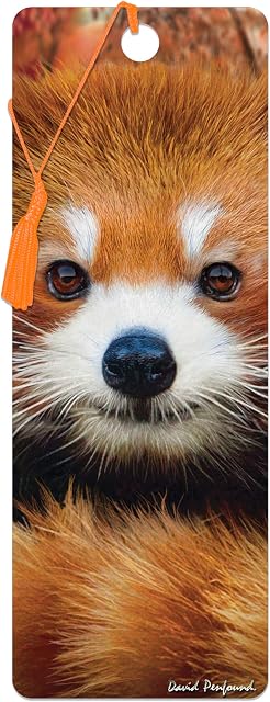 3D LiveLife Bookmark - Baby Red Panda from Deluxebase. A Red Panda Bookmark with lenticular 3D Artwork Licensed from Renowned Artist David Penfound