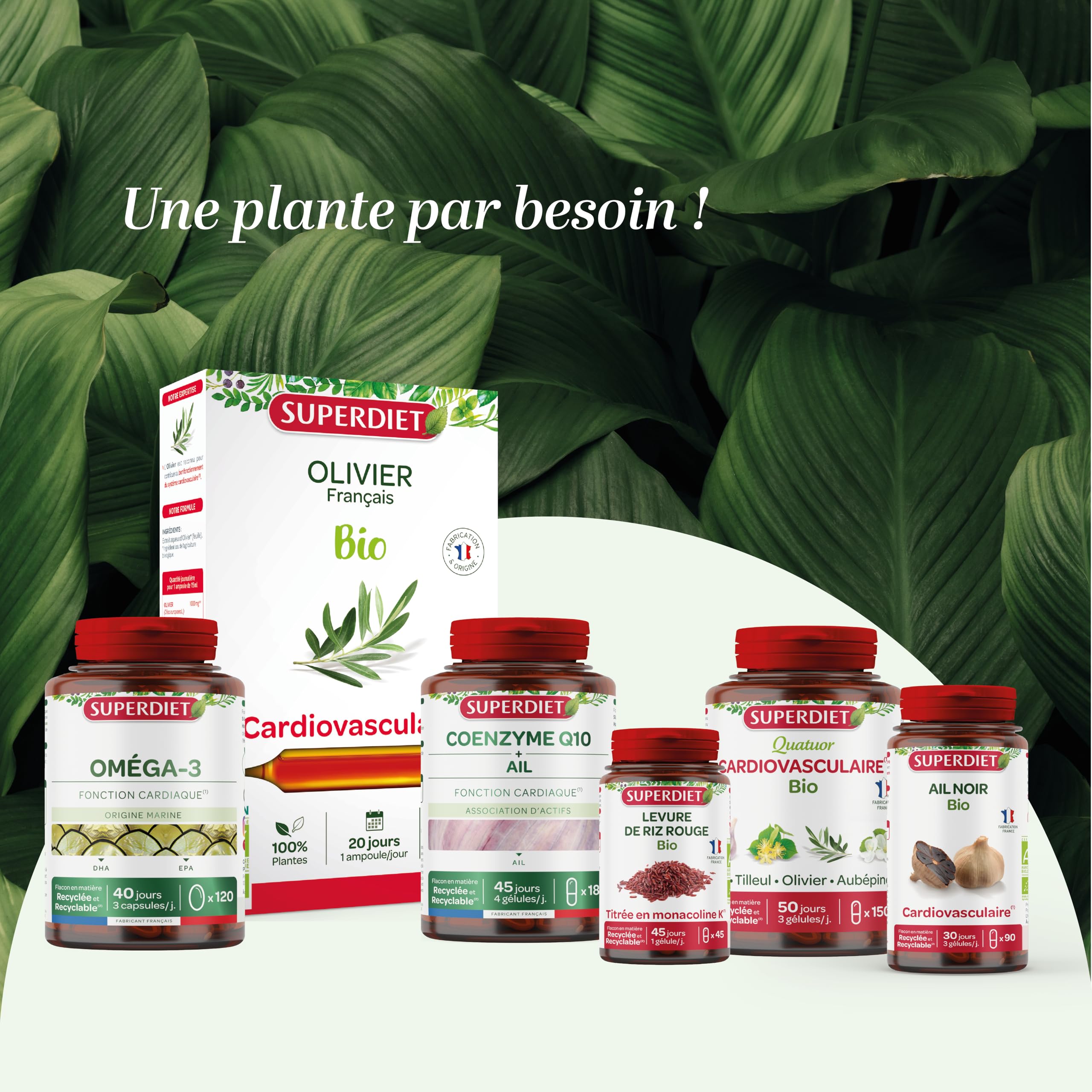 Levure de riz rouge bio - Titrée en monacoline K, 1,3mg - Gélules | Cure de 120 gélules - Fermentation naturelle, Monascus purpureus - Fabrication française – Vegan – Superdiet
