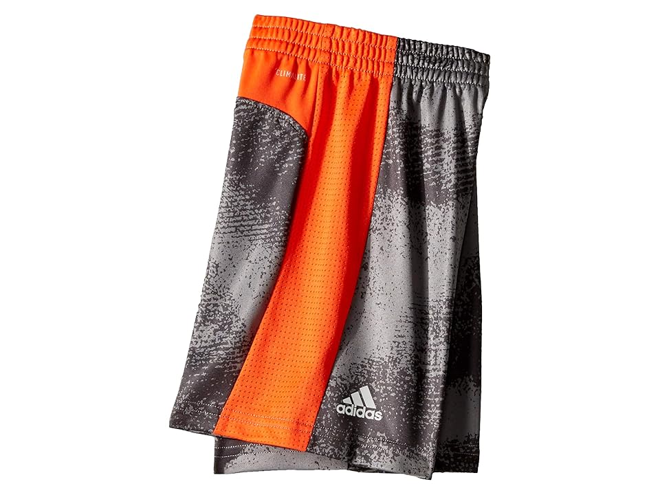 

adidas Kids Fusion Shorts (Toddler/Little Kids) (Grey/Orange) Boy's Shorts, Gray