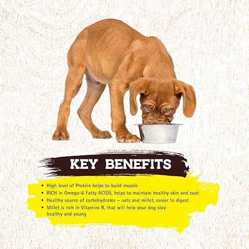 Miniatura 5 de Inception Comida húmeda para perros Receta de pollo  Comida completa y equilibrada para perros  Meat First Legume Free Wet Dog Food  Caja de 1213 oz