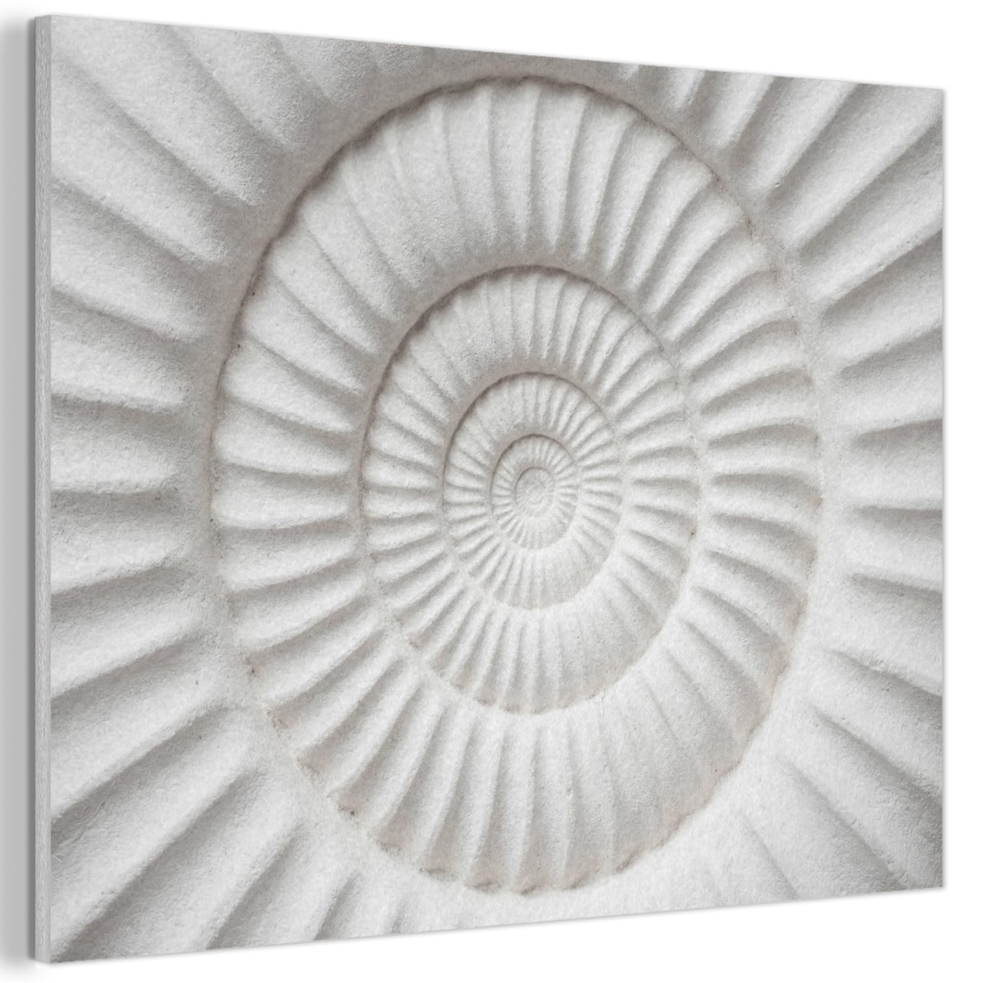 MuchoWow© Felt Panel 100x70 cm Room Style Piece Wallfillers Visual Display Decoration Wall Art Shell - Spiral - White