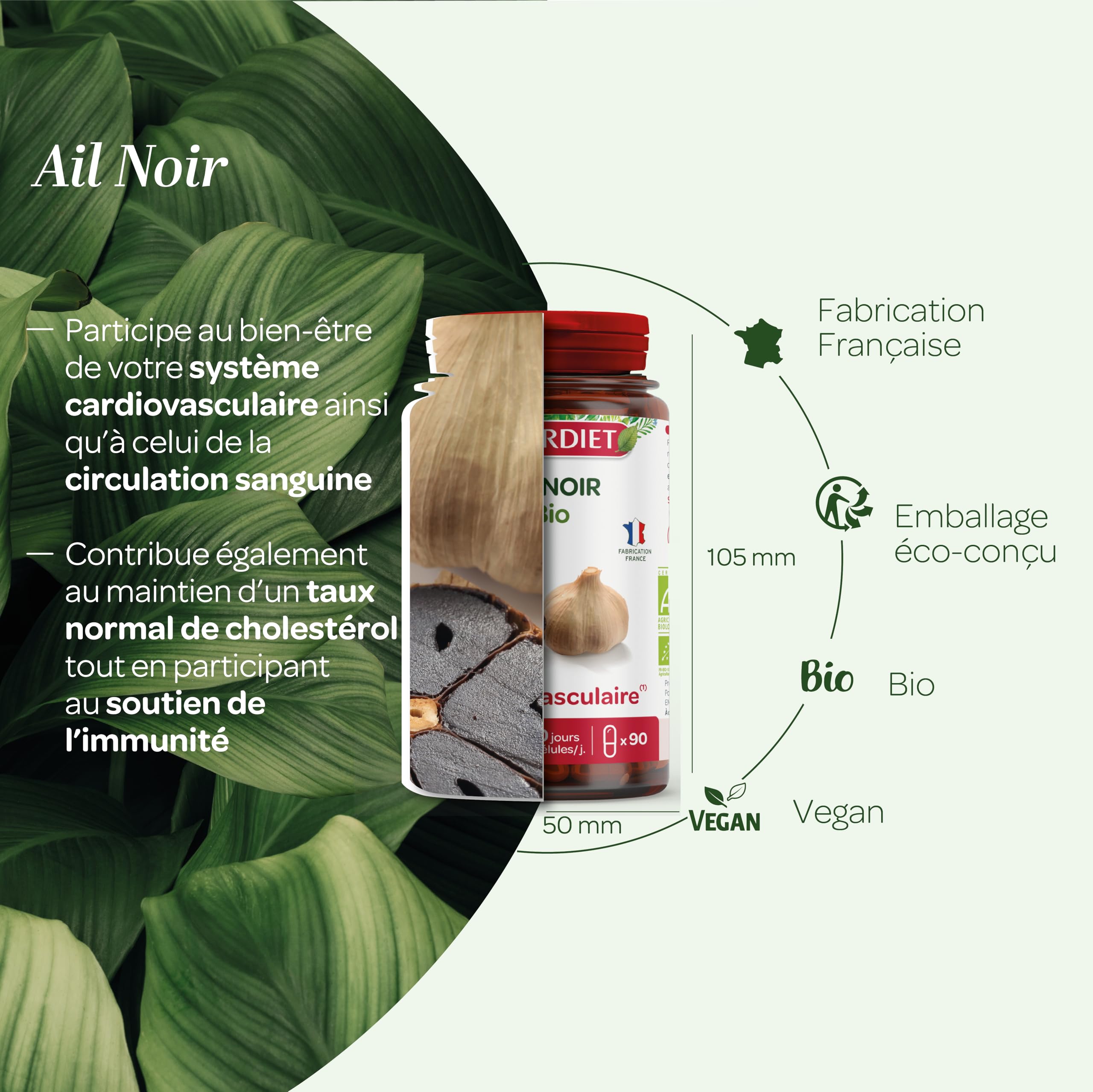 SUPERDIET – AIL NOIR BIO - Cardivasculaire – Phytothérapie – Fabrication Française – 90 gélules
