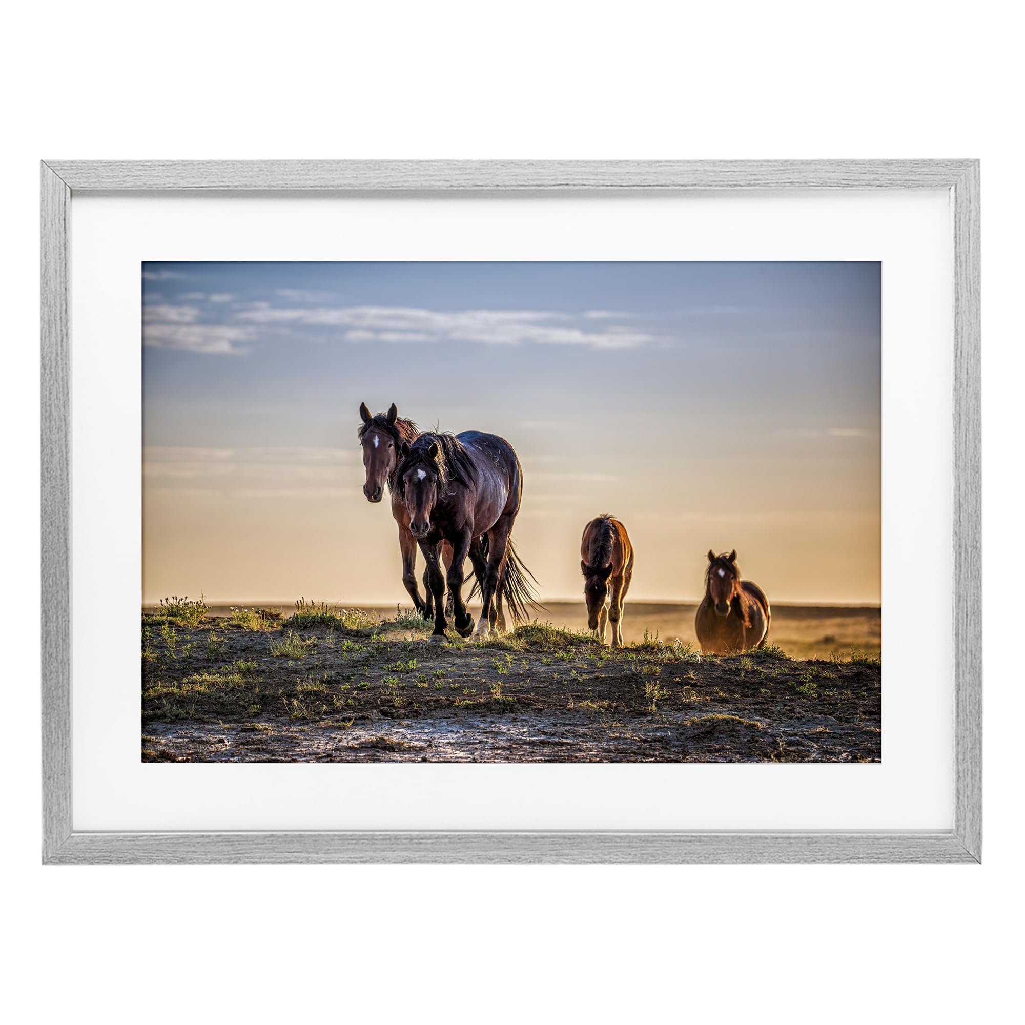 Stupell Industries 'Horses Coming Home', Framed Print Under Glass, Gray, 23 x 17 Inches, Easy to Hang and Sturdy, Made in USA, by Tim West