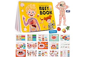Freebear Montessori Busy Book for Kindergarten Learning