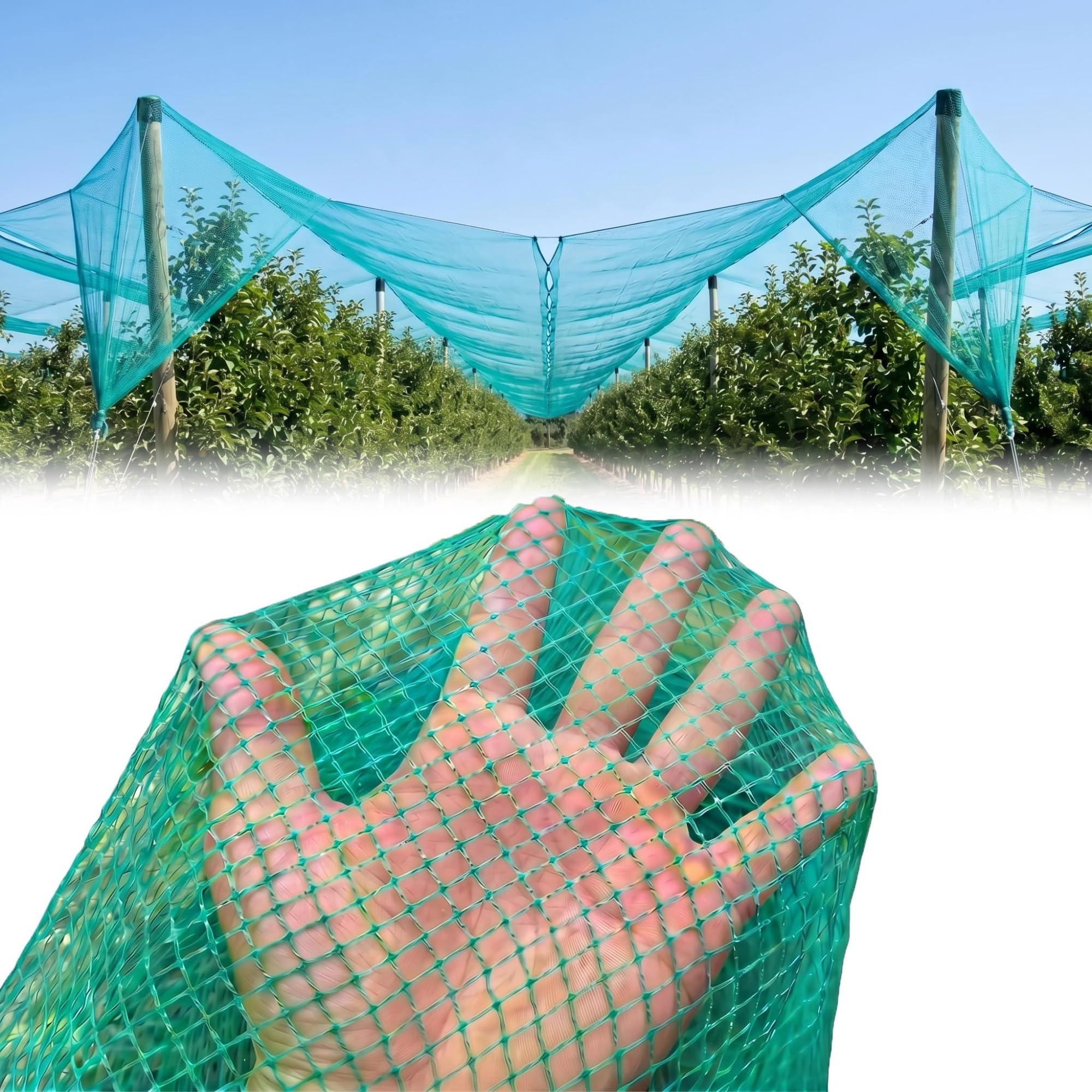 Malla Antigranizo,Resistente Desgarro,Antipajaros 5mm y Anti-Envejecimiento,Polietileno,Red Jardín para Frutas,Verduras,Jardines,Plantas(4 X 10 M)