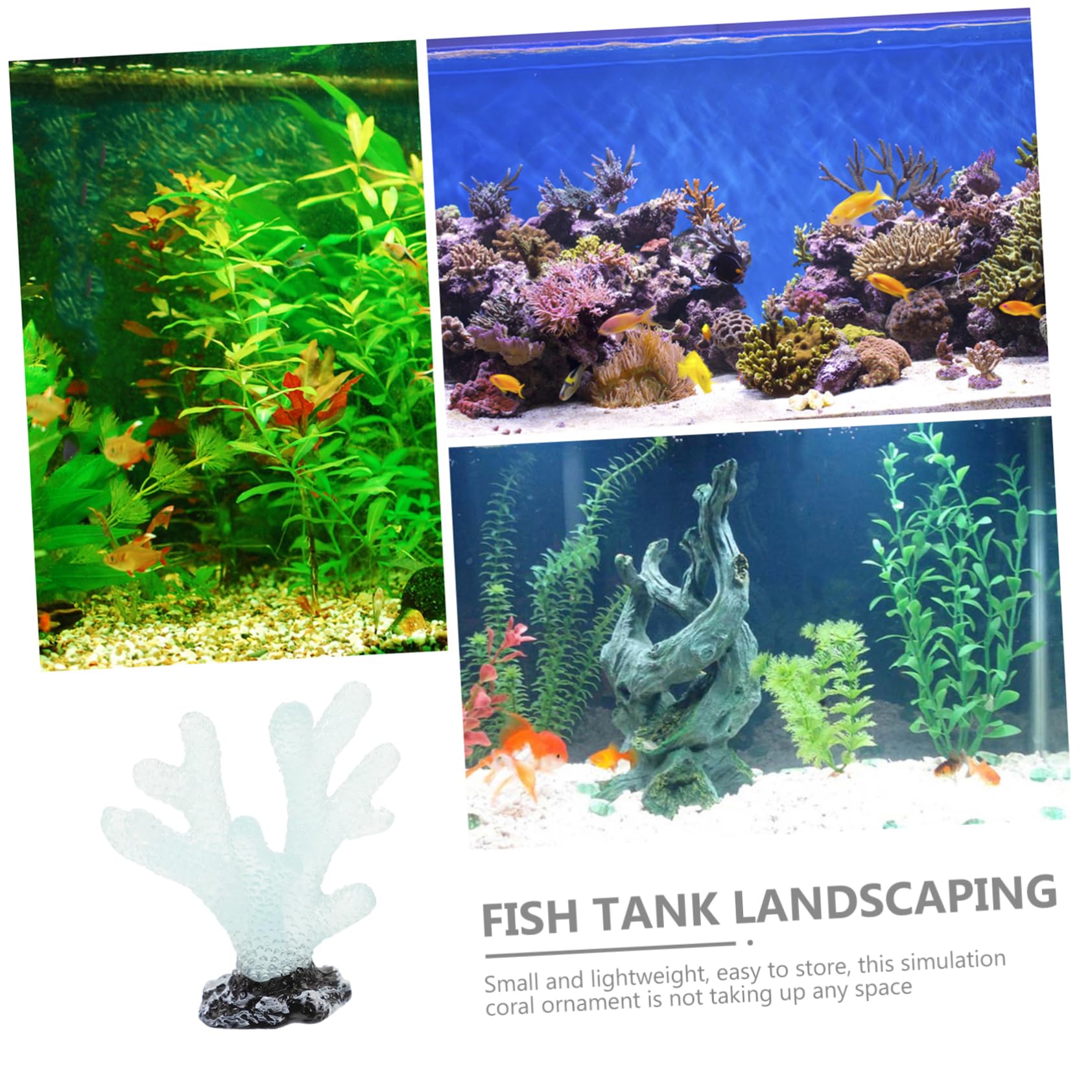 レア珊瑚菊目石原木置物アクアリウム特大3.3Kg レア珊瑚菊目石原木置物アクアリウム特大3.3Kg