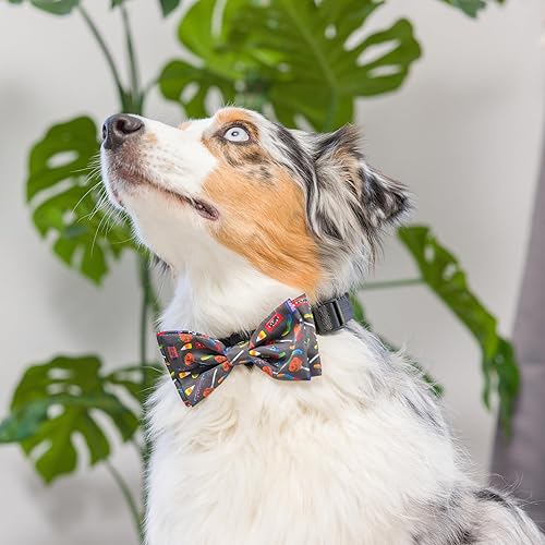 Miniatura 8 de Huxley & Kent Halloween Dog Bundle | Tricks for Treats & Small Creepy Candy Bow Tie | Plush Dog Toy and Hook & Loop Collar Attachment