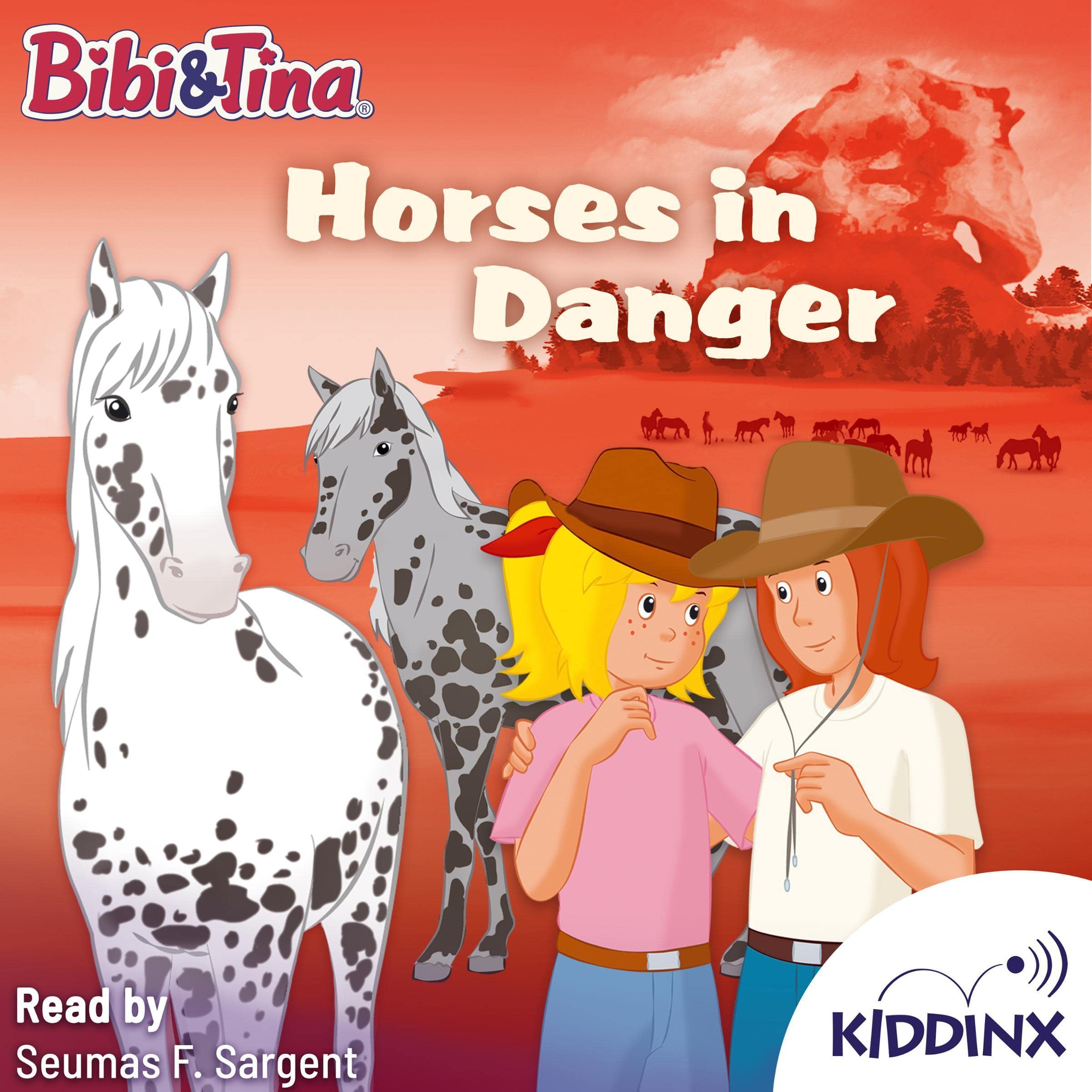Cover art for Horses in Danger
