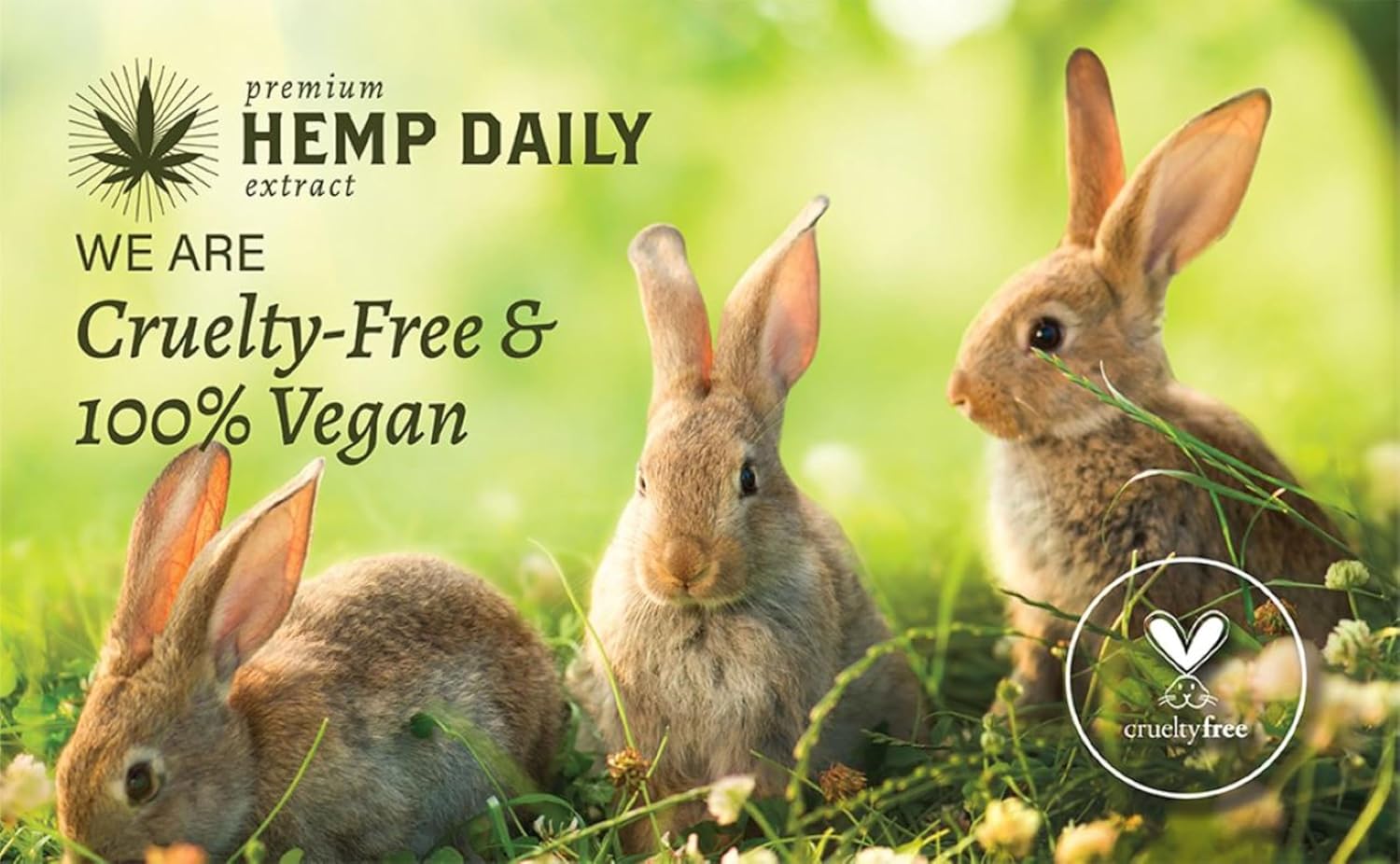 Premium Hemp Extract Daily Ultimate Cream - Menthol, Argan, Jojoba, Rosehips - Lightweight, Fast-Absorbing Moisturizing Topical Lotion with Essential Oils - Sandalwood, Single 5oz