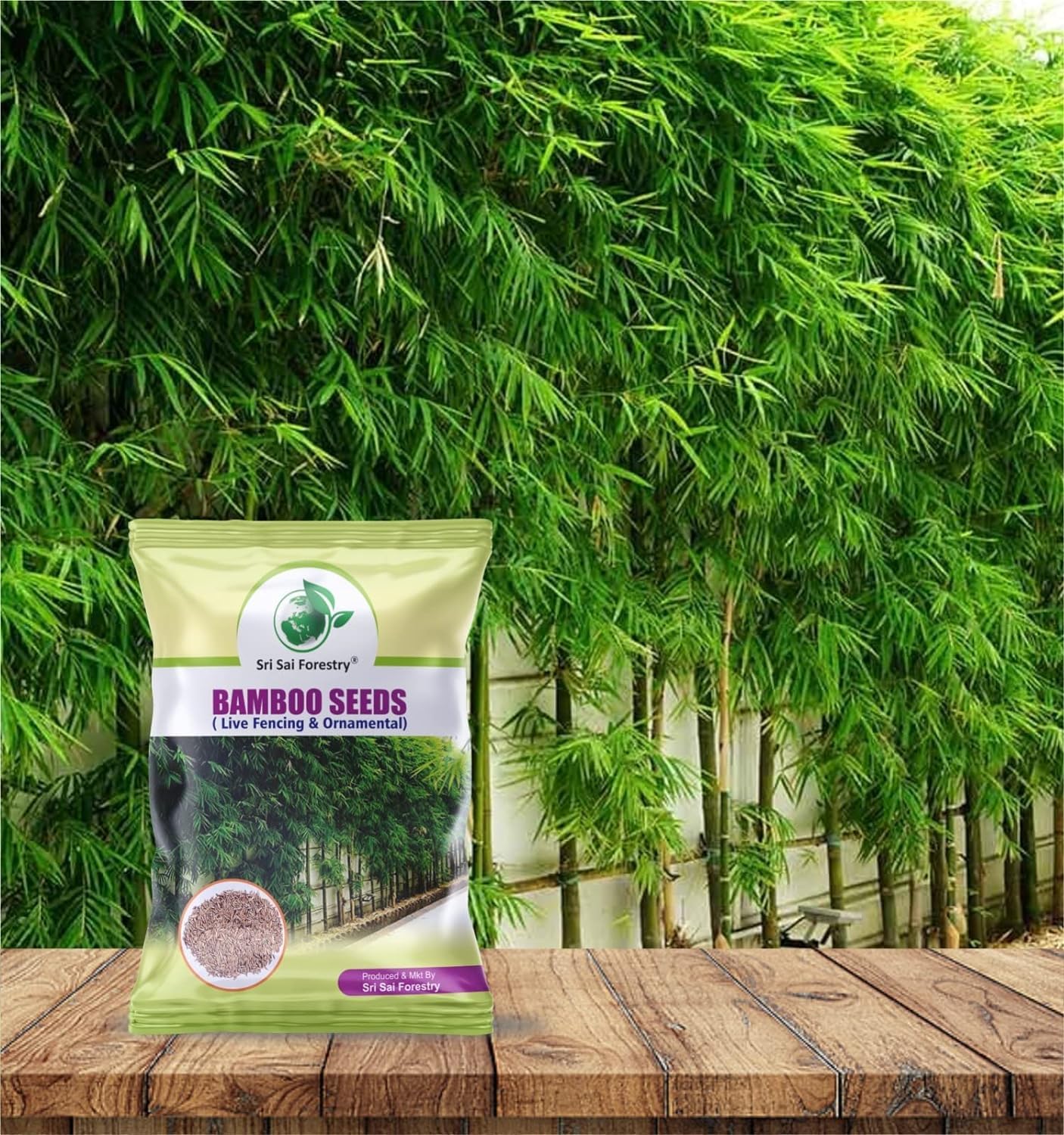 SRI SAI FORESTRY Bamboo Seeds for Planting, Home Garden and Live Fencing - Pack of 50 to 80 Seed (B0CR1F3X47) Amazon Price History, Amazon Price Tracker