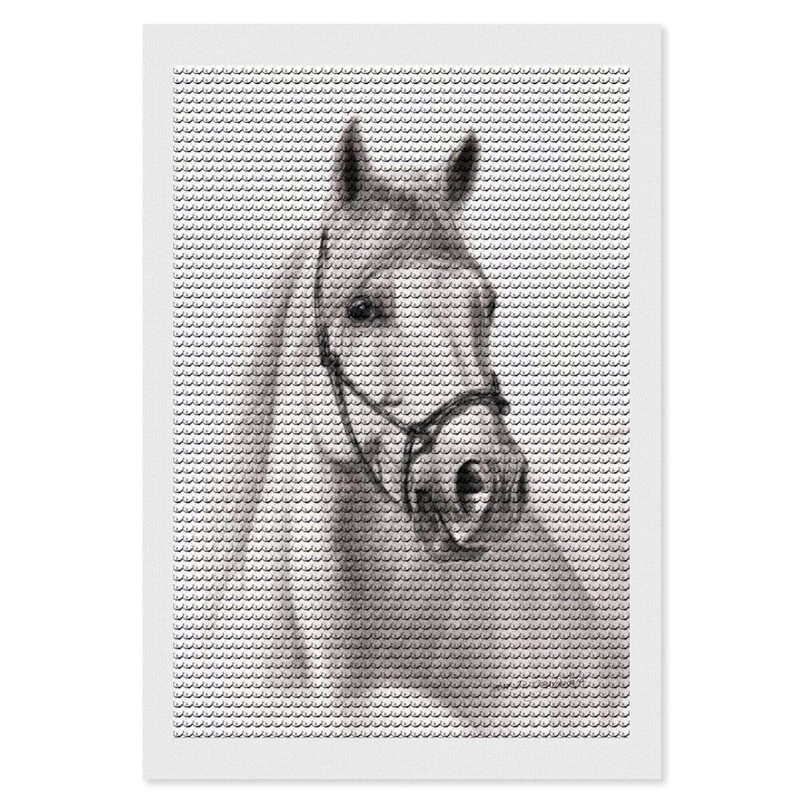 Junmoney Shadow 5D Diamond Painting Kit 8"x12", Relaxing DIY, Mindful Craft Project, Full Kit Included, Thoughtful Present