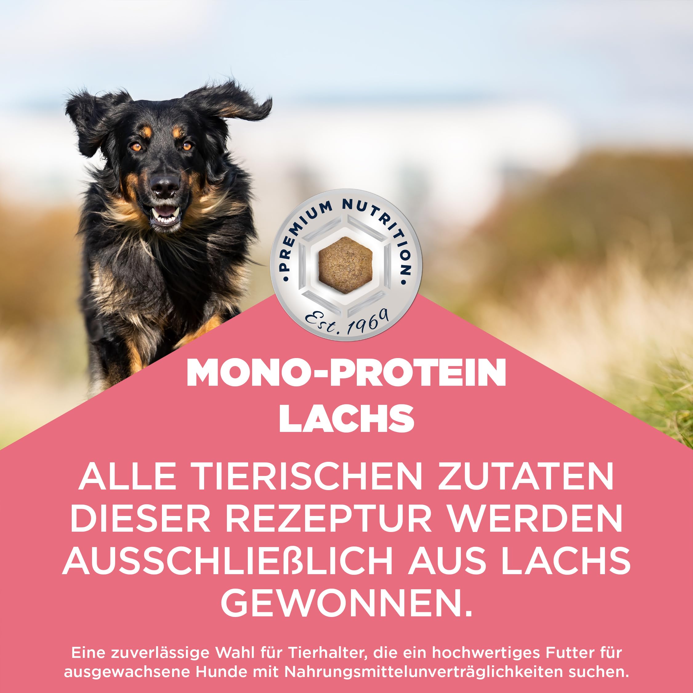 Eukanuba Mono-Protein Lachs Hundefutter - Special Care Trockenfutter mit nur Lachs als tierischem Protein, allergenarme Rezeptur, 12 kg