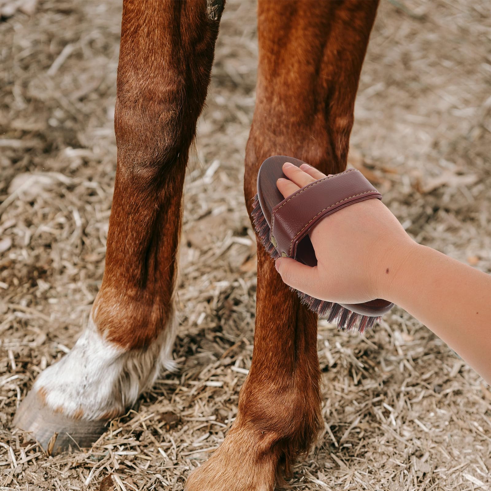 Cepillo para Caballos de Limpieza y Cuidado con Masaje Suave Ovalado | Madera, Fibras Mixtas y Pu, para Rutina Diaria y Uso Ecuestre, Ayuda a Retirar Suciedad y Restos
