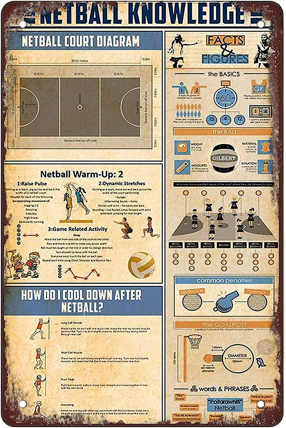 FJQWKLF Netball Knowledge Metal Signs Vintage Club Decor Athlete Home Decor Printed Plaque Room Wall Decor 8x12 Inches