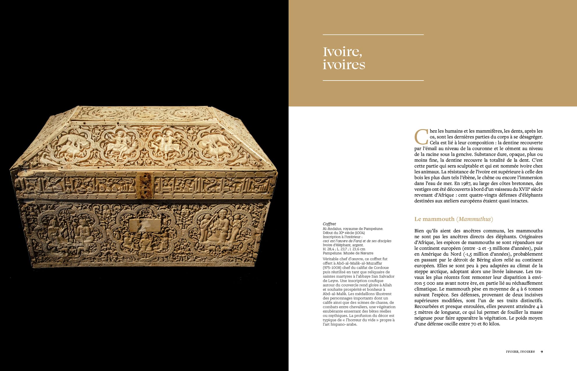 Ivoire. Secrets de l'or blanc