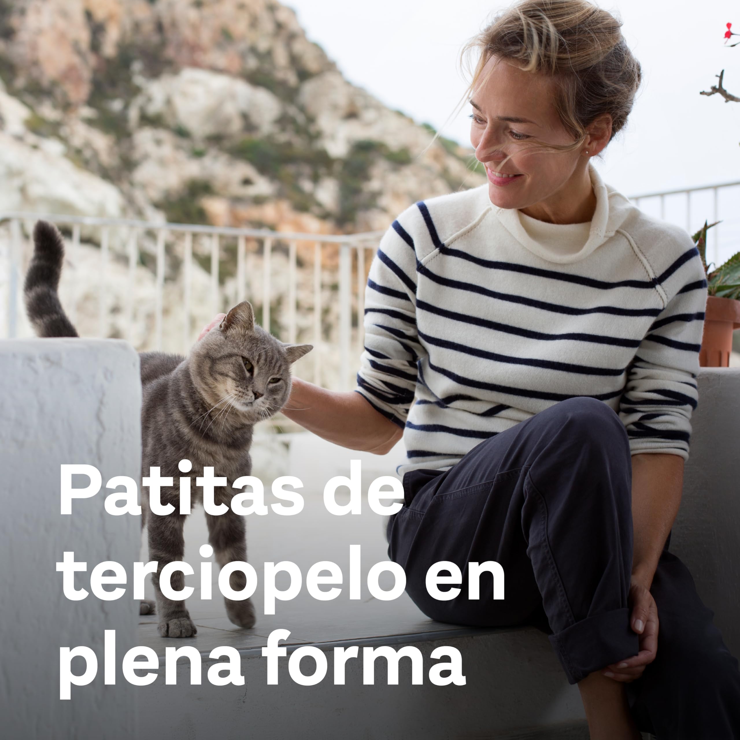 Doppelherz Complejo articulaciones para Gatos, Ayuda al metabolismo de Las articulaciones en Caso de osteoartritis, 25 cremosos pellizcos