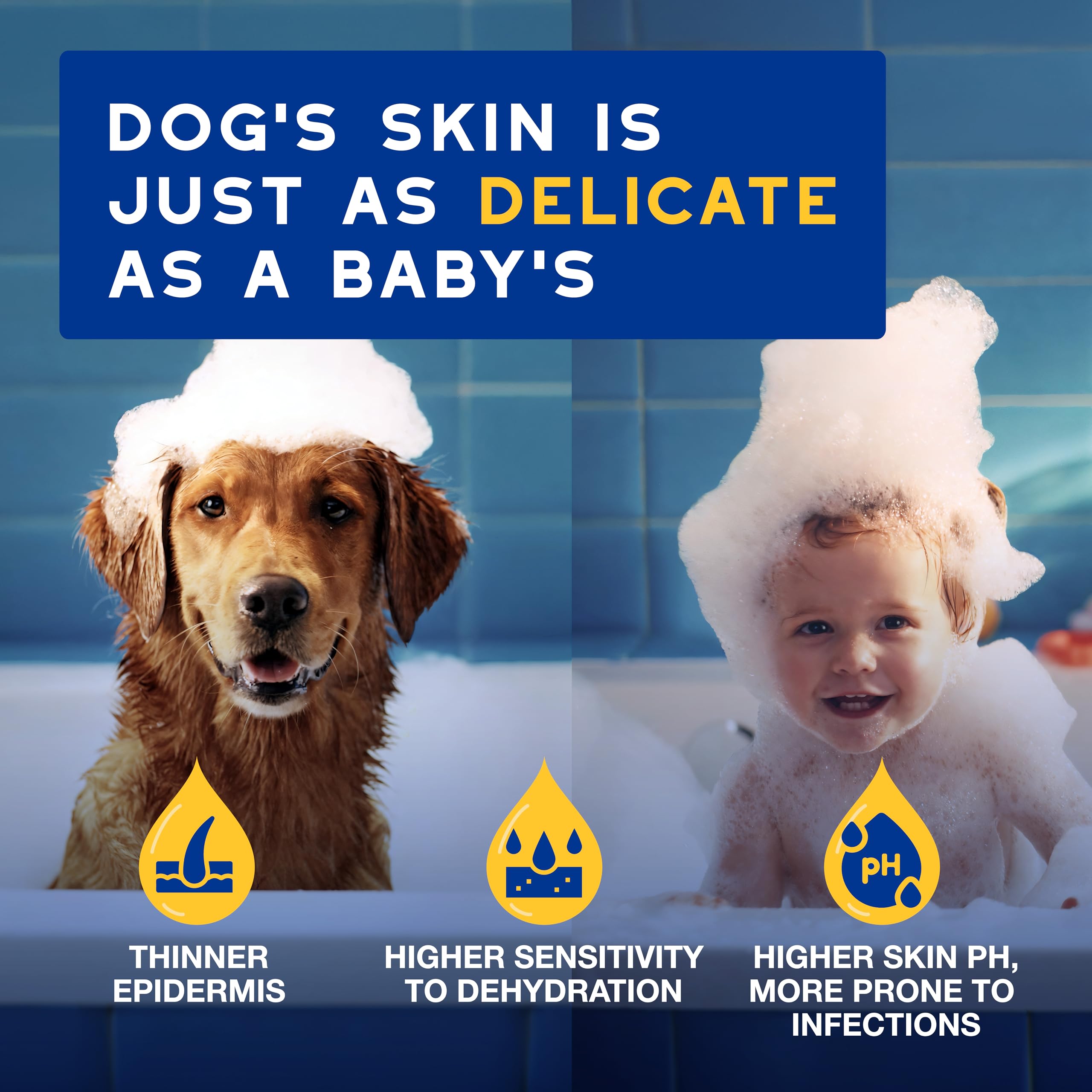 Douxo Spa, Oatmeal Dog Shampoo, 250 ml, Cleans and Deeply Hydrates the Skin, Enhances the Fur - Image 3