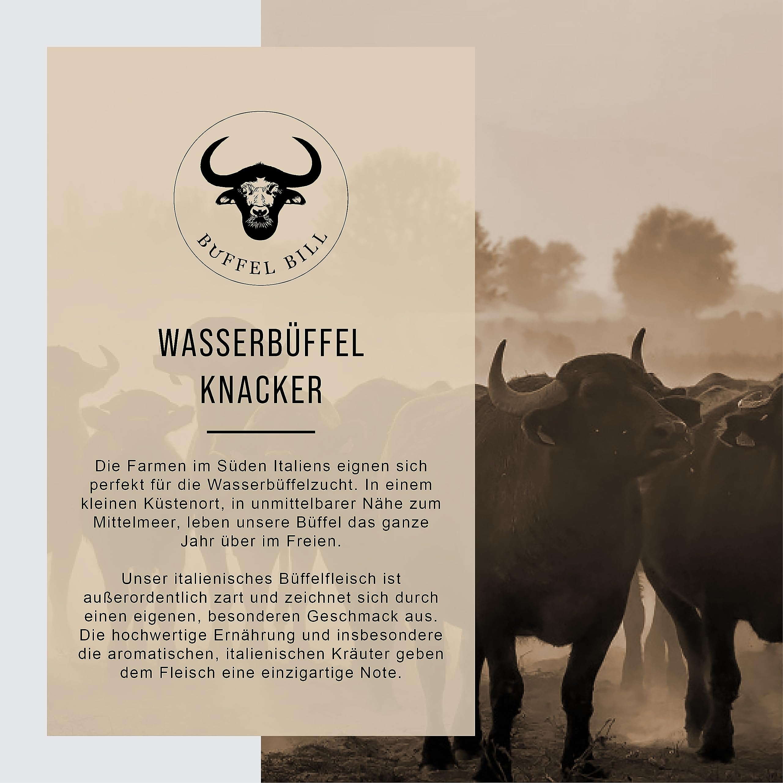 BÜFFEL BILL Büffelknacker 8 Stück á 120g | Knackige Bockwurst aus saftigem Wasserbüffelfleisch nach traditionellem Rezept I Kräftiger Geschmack & würziges Aroma