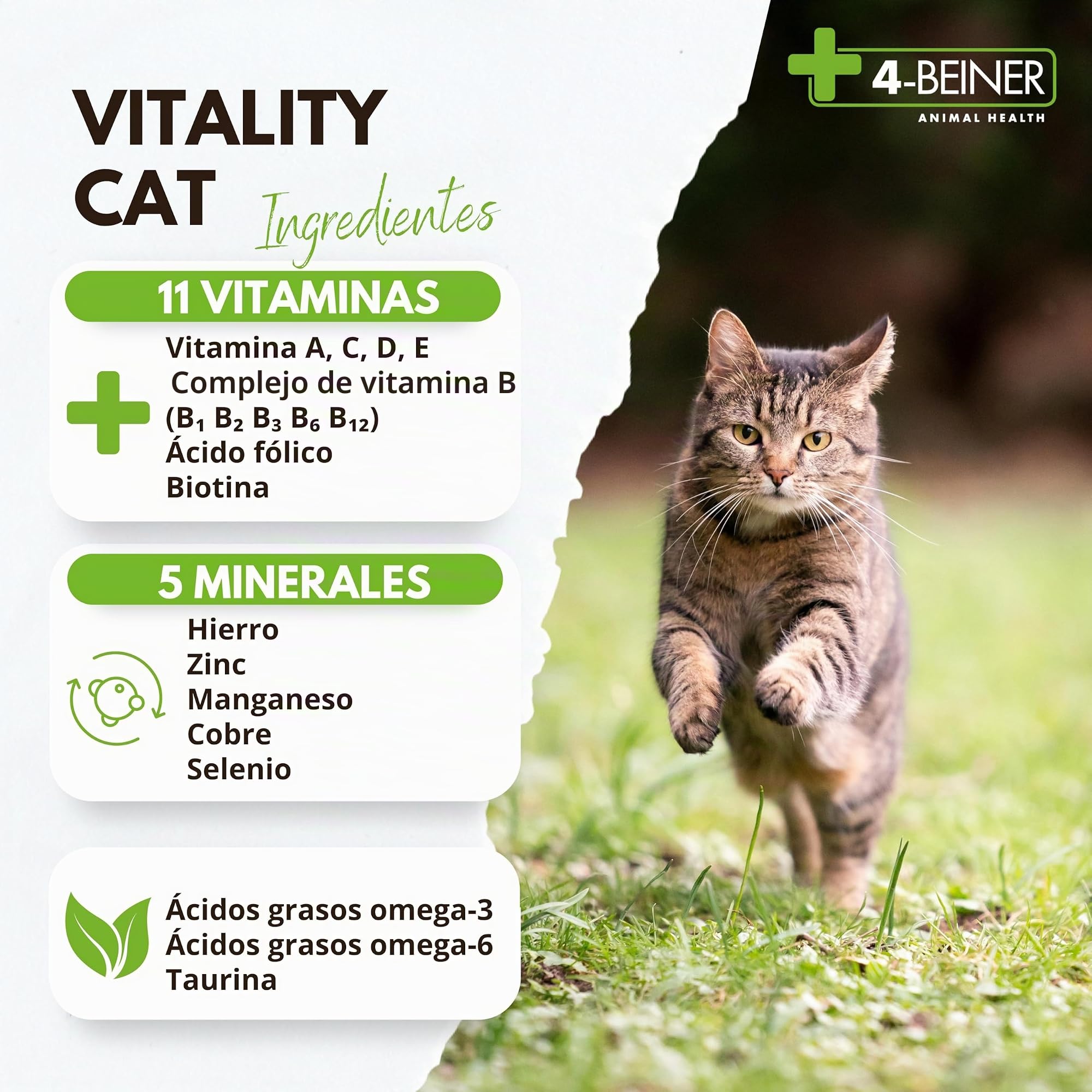 4-BEINER Vitality-Cat -11 vitaminas para Gatos más Omega 3, Omega 6, Zinc, Selenio, manganeso, Cobre, Hierro, taurina, multivitaminas Gato, Polvo