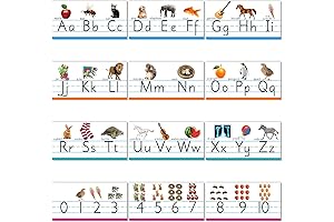 Zonon Educational Alphabet Bulletin Board Set