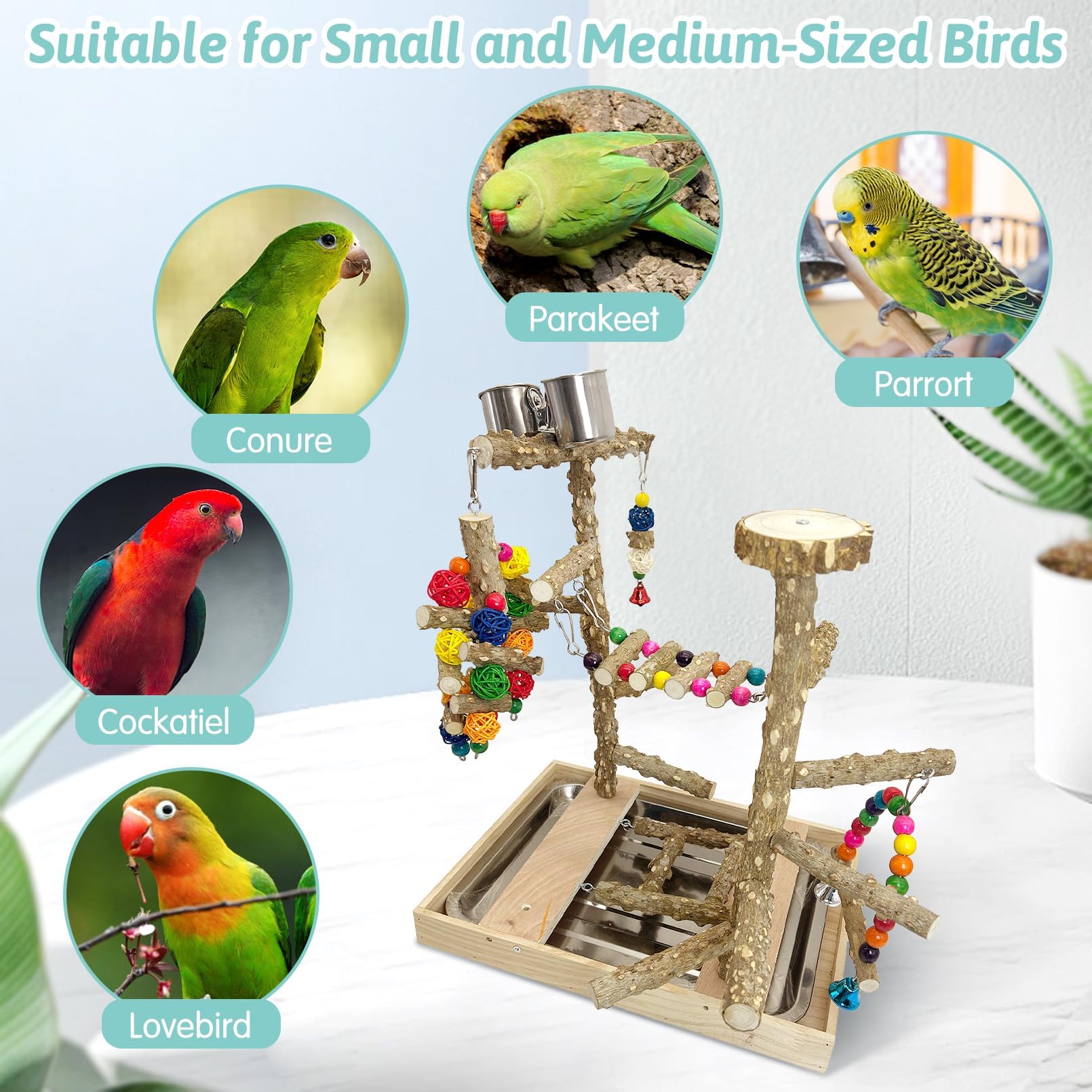 PINVNBY Bird Playground Natural Wood Parrot Perch Stand Bird Play Gym Colorful Ladder Swing Chewing Toys with Metal Tray and 2 Stainless Steel Cups Cage Accessories for Conure Cockatiel Parakeet - image 4